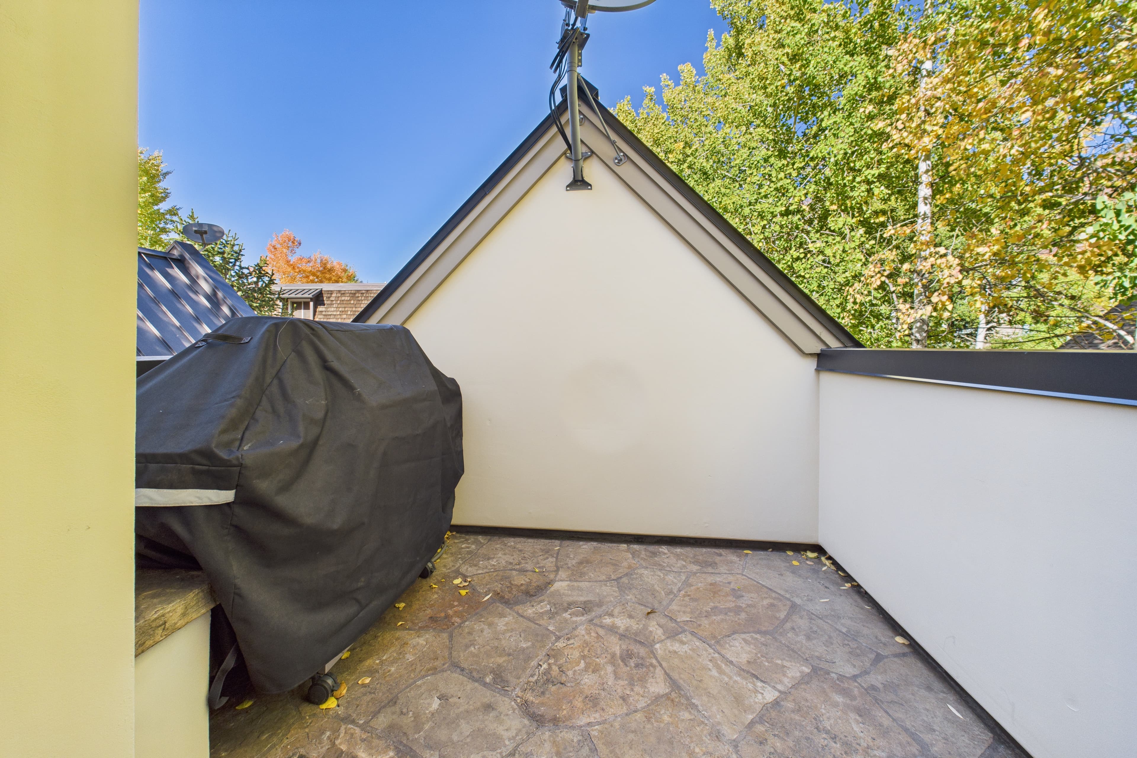 914 E Cooper Avenue, Aspen, CO 81611 - Photo 35