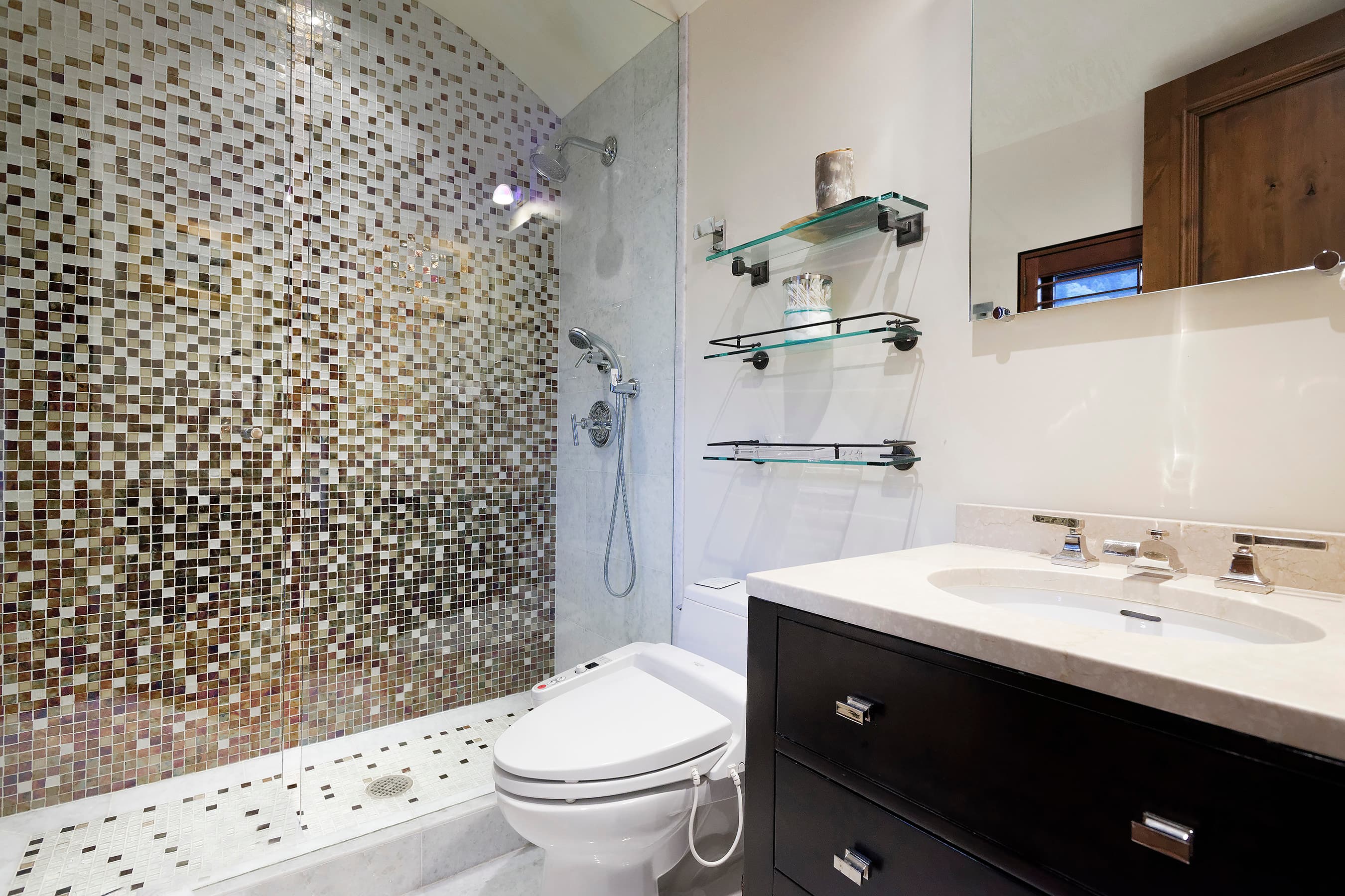 105 Exhibition Lane, Aspen, CO 81611 - Photo 7