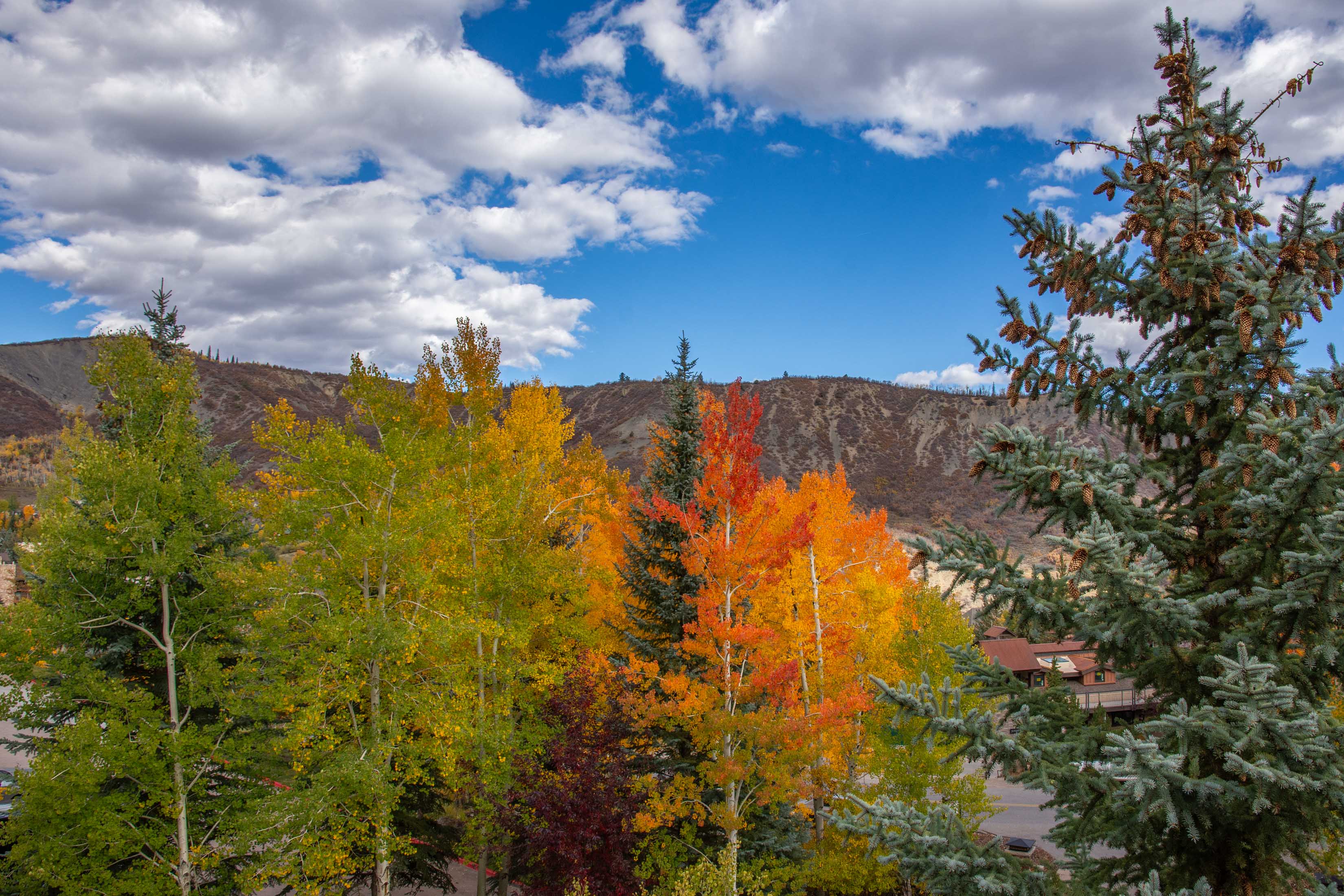 425 Wood Road 10, Snowmass Village, CO 81615 - Photo 8