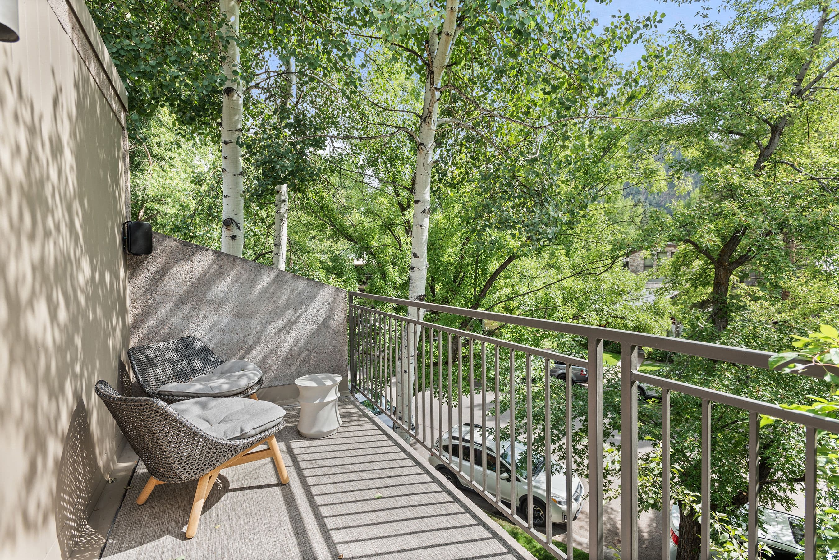 800 E Hopkins Avenue B5, Aspen, CO 81611 - Photo 16