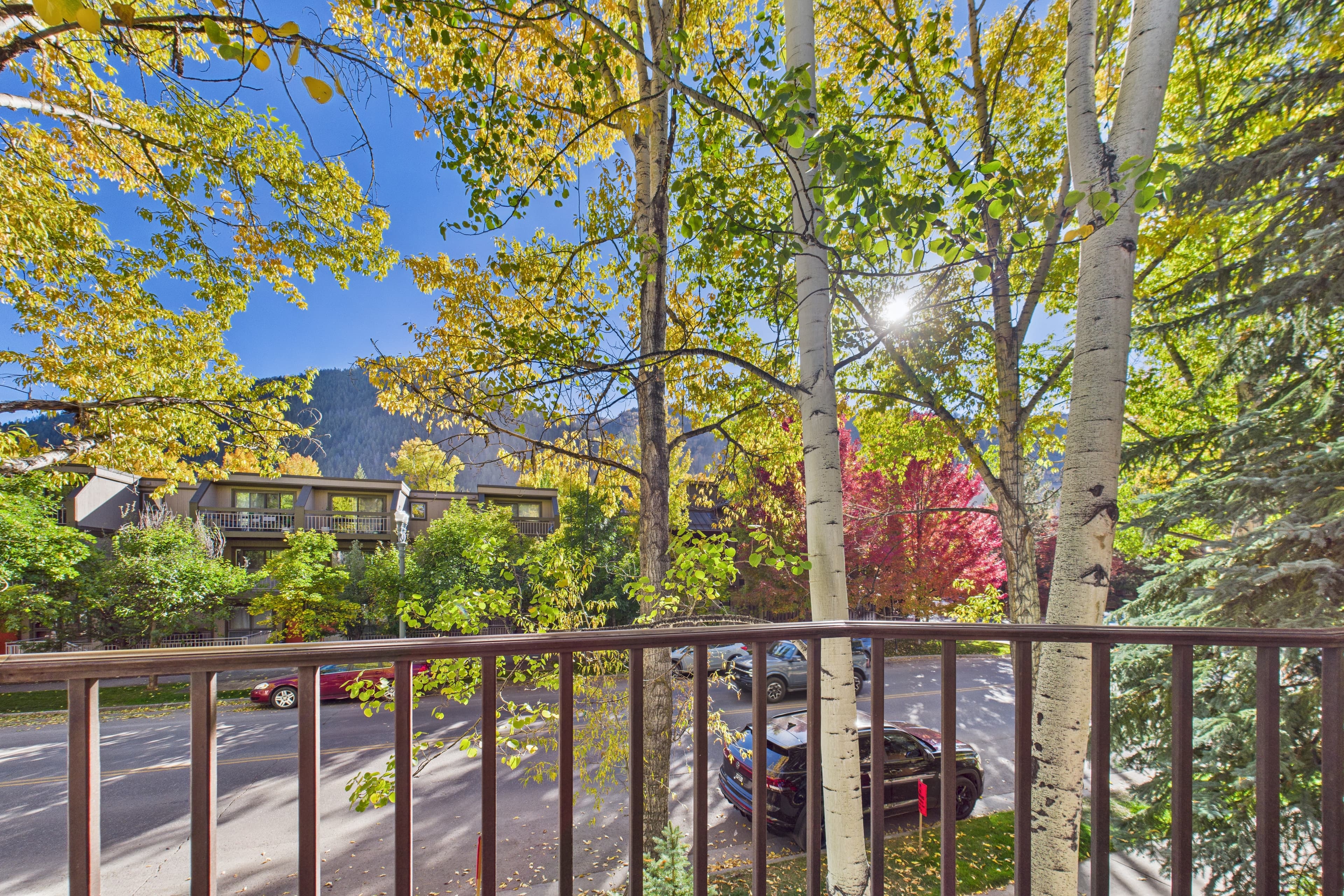 910 E Cooper Avenue, Aspen, CO 81611 - Photo 8