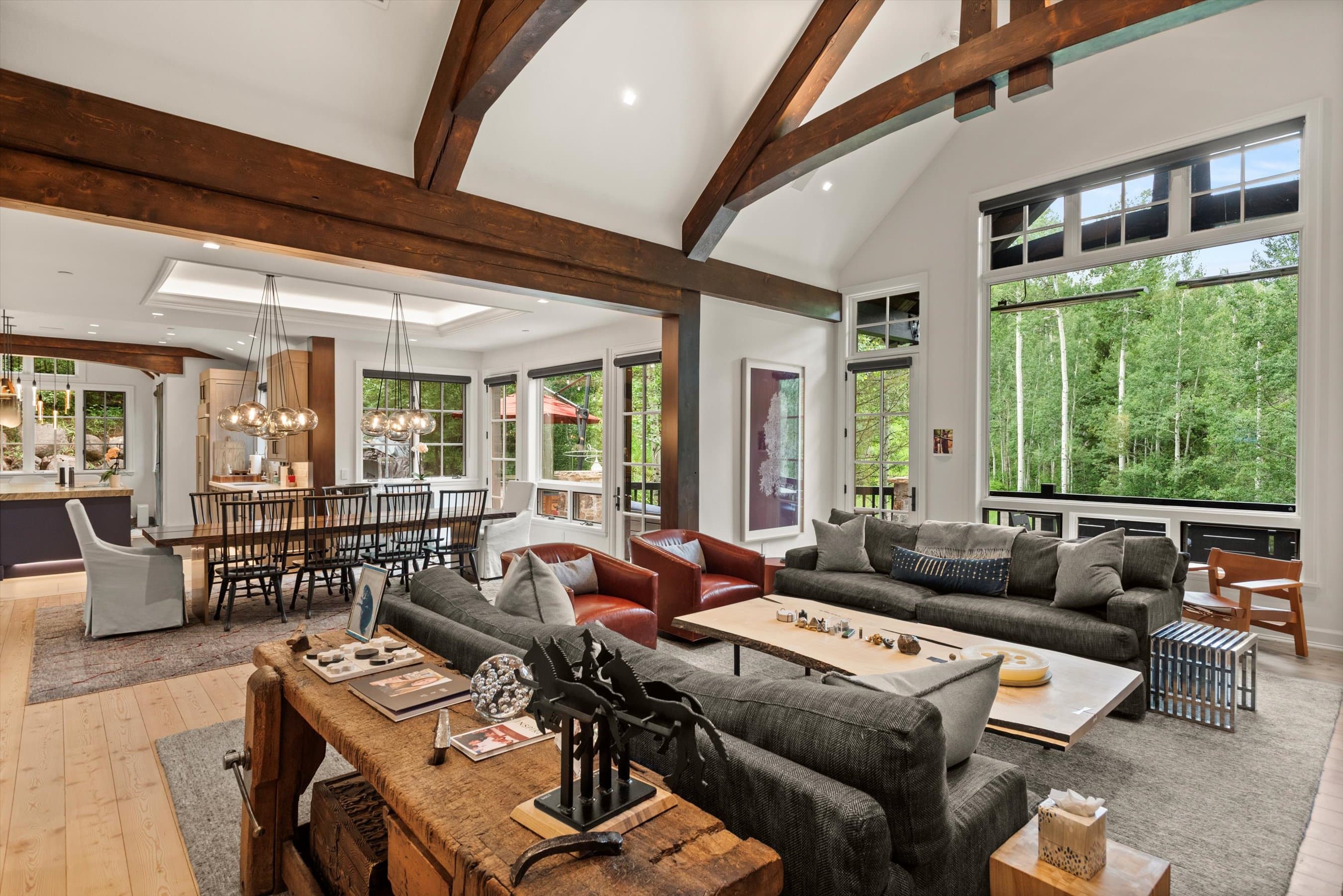 289 Exhibition Lane, Aspen, CO 81611 - Photo 27