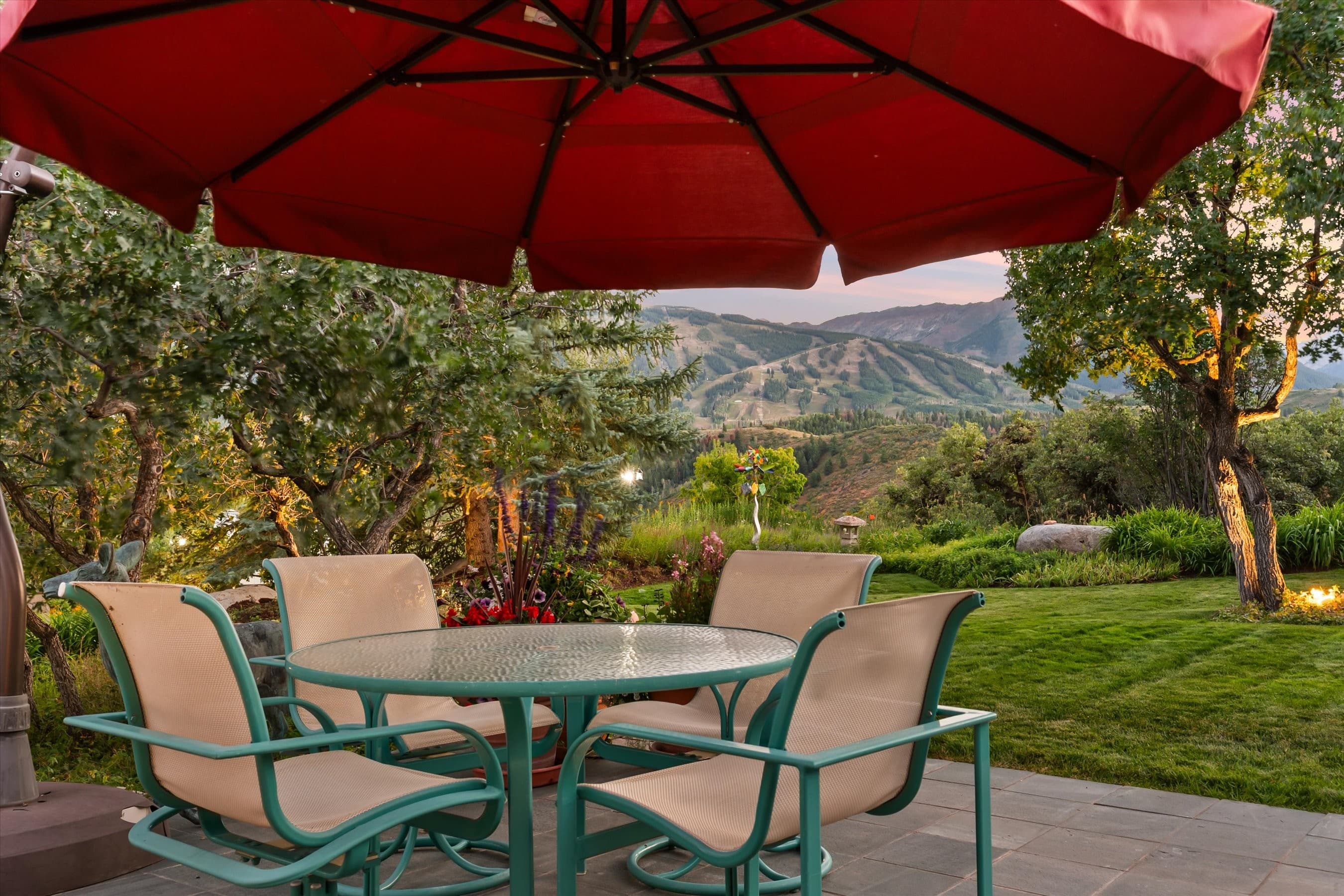 505 Wildcat Vista, Snowmass Village, CO 81615 - Photo 13