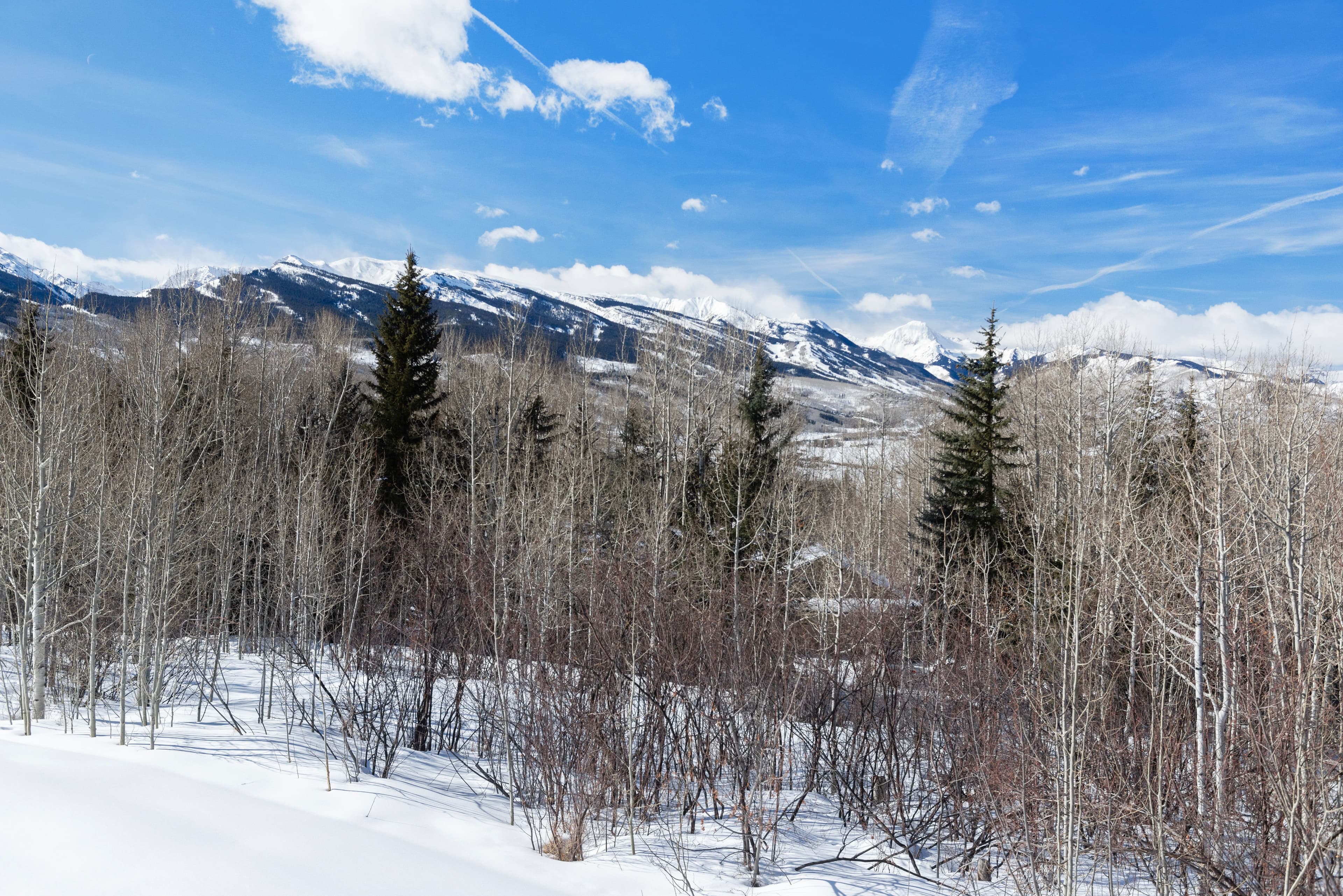 975 S Starwood, Aspen, CO 81611 - Photo 14