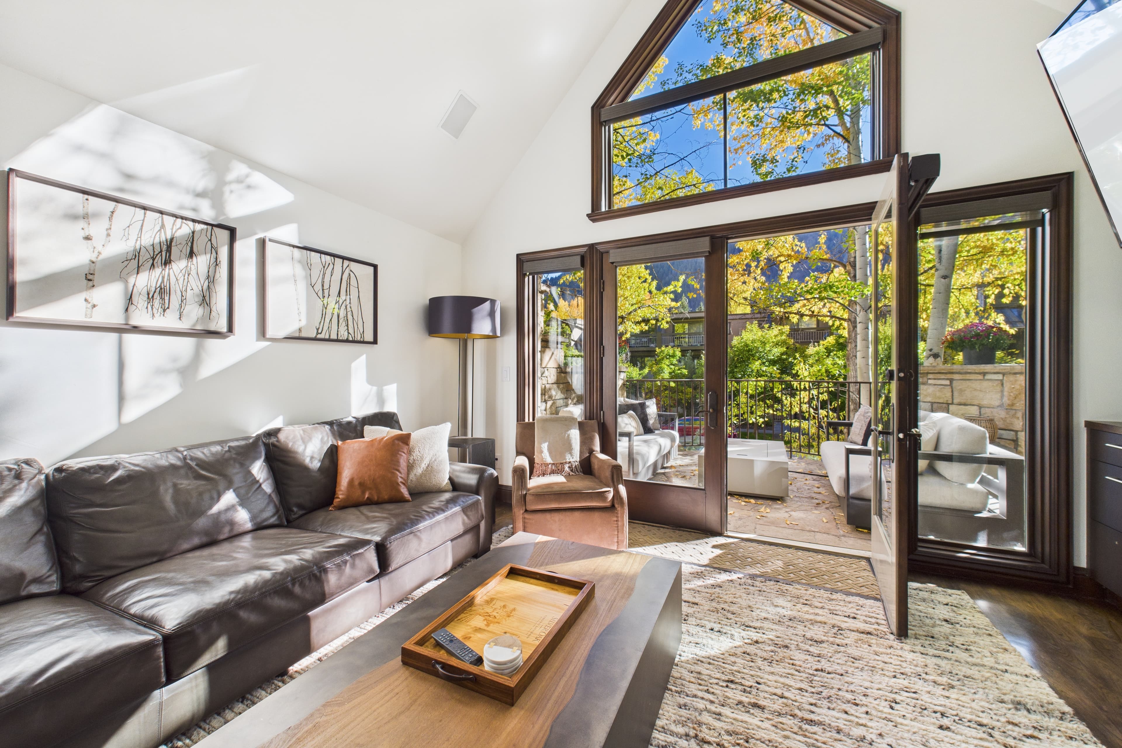 910 E Cooper Avenue, Aspen, CO 81611 - Photo 27