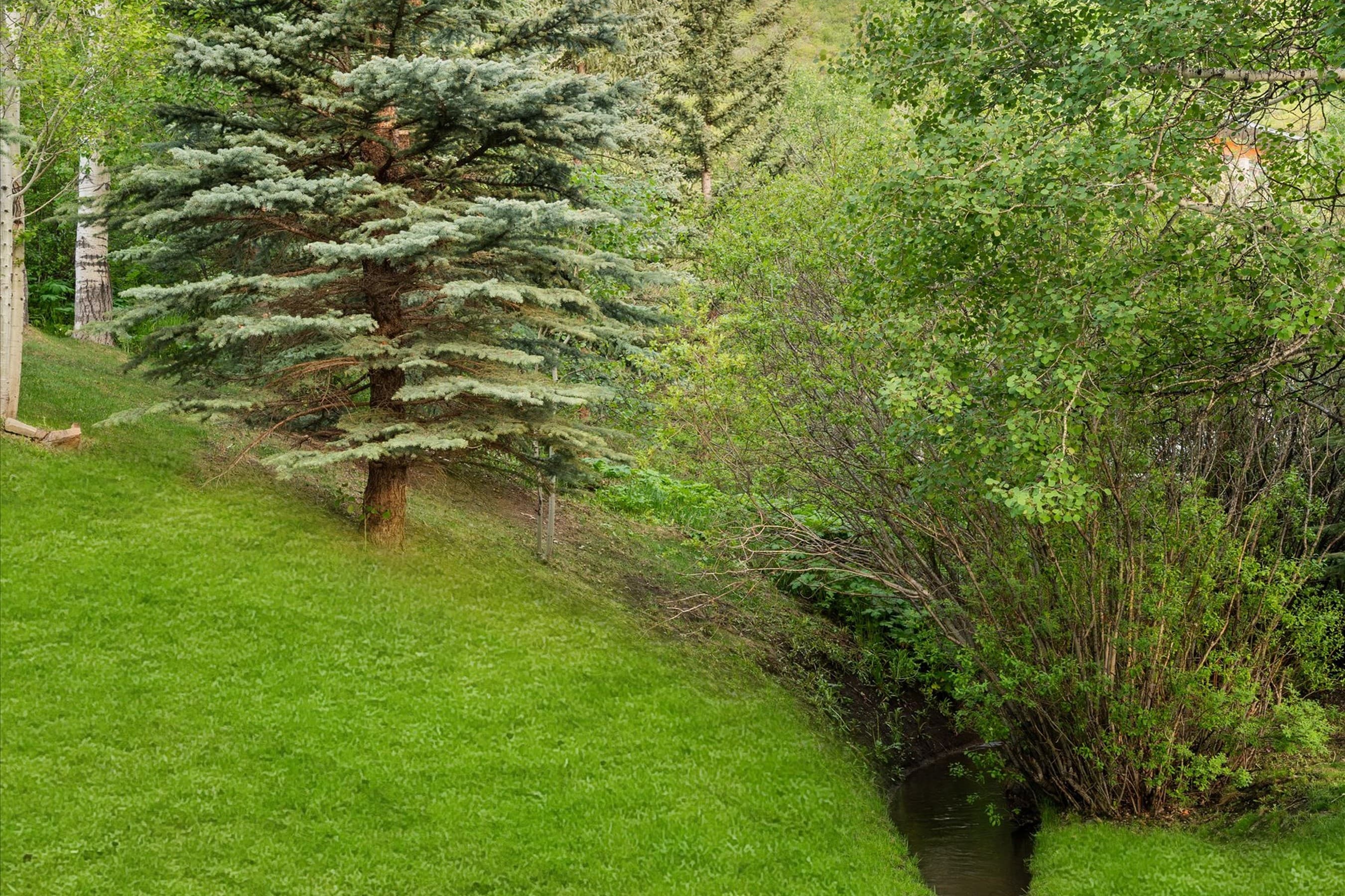 238 Terrace Drive, Snowmass Village, CO 81615 - Photo 35