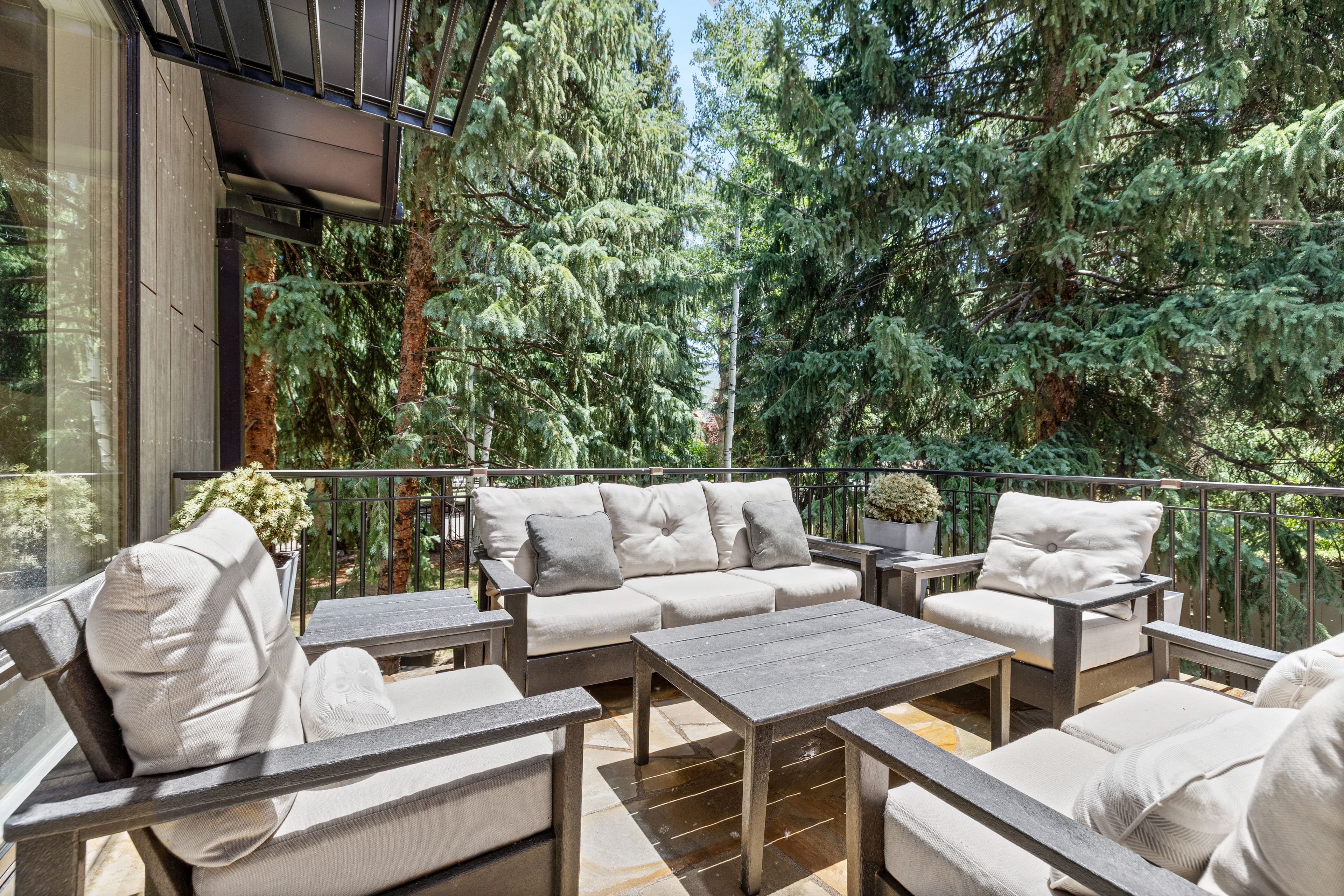 777 Castle Creek Drive, Aspen, CO 81611 - Photo 22