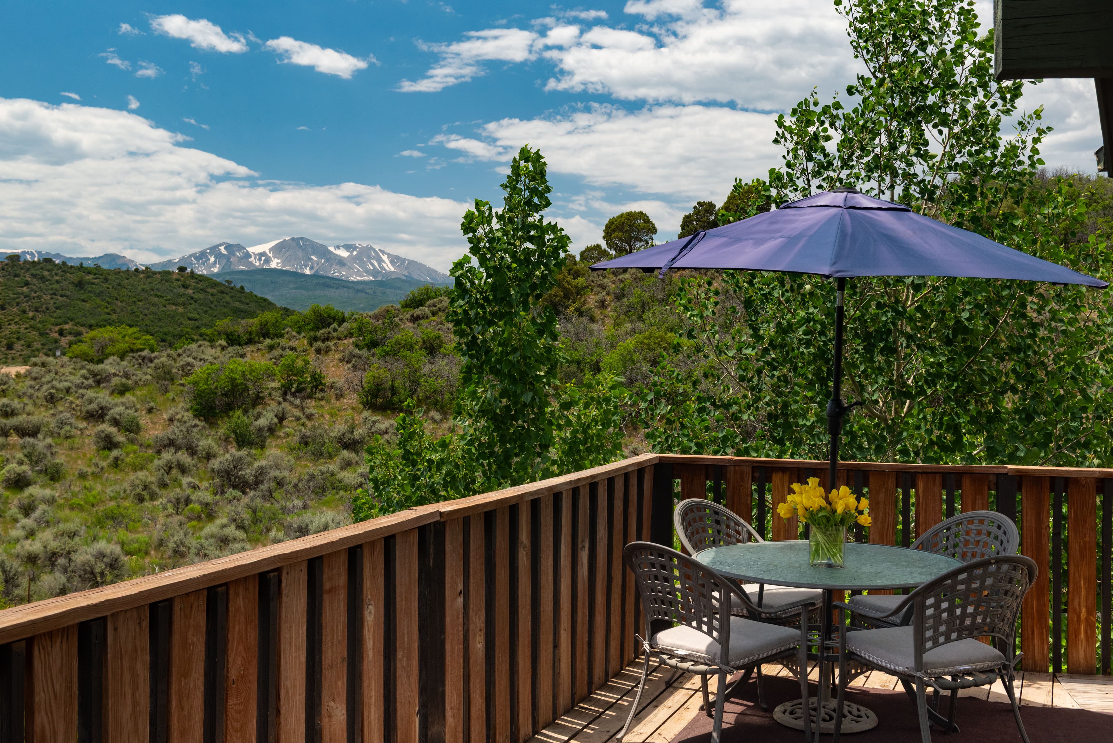 614 Light Hill Road, Snowmass, CO 81654 - Photo 1