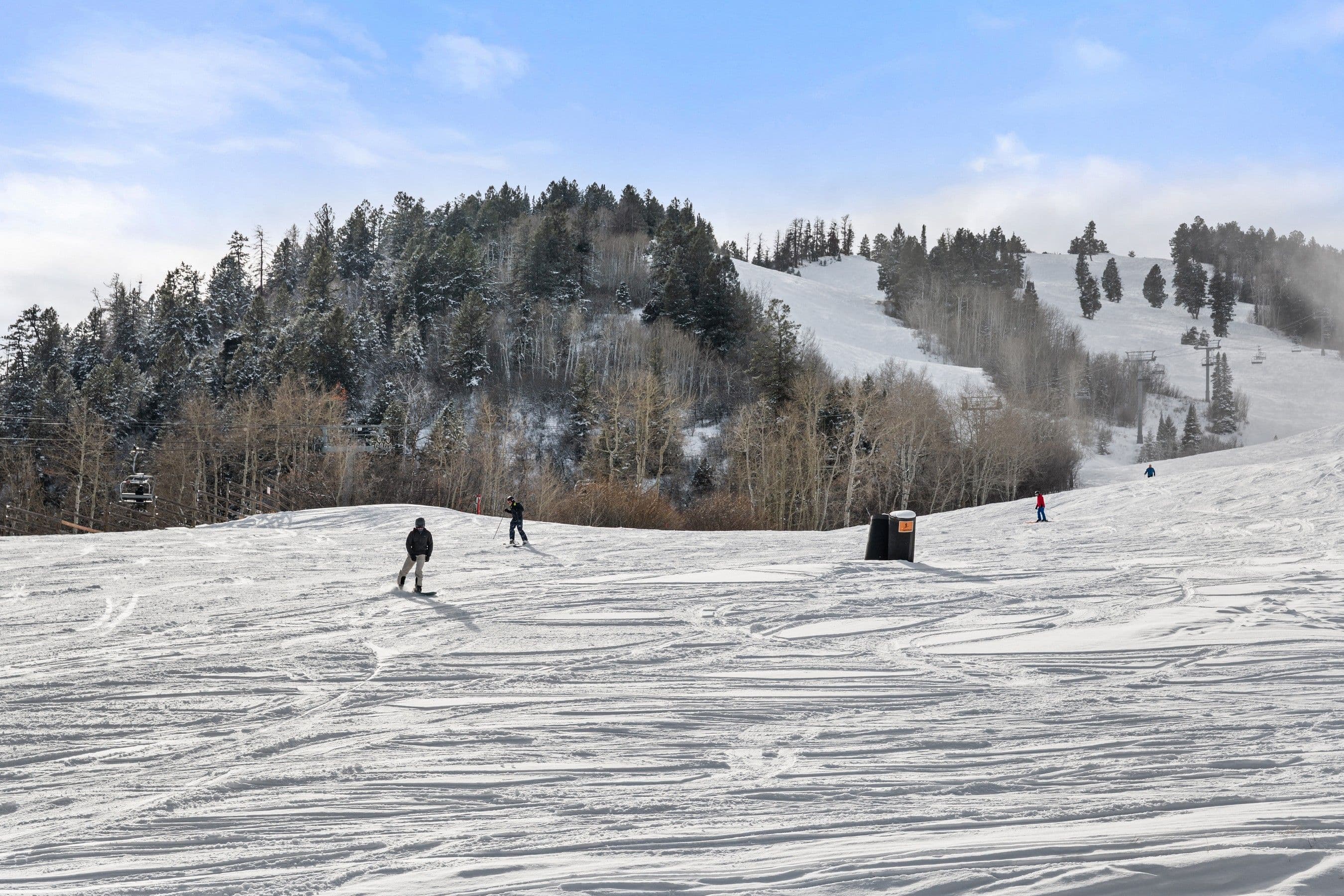 510 Oregon Trail, Aspen, CO 81611 - Photo 13
