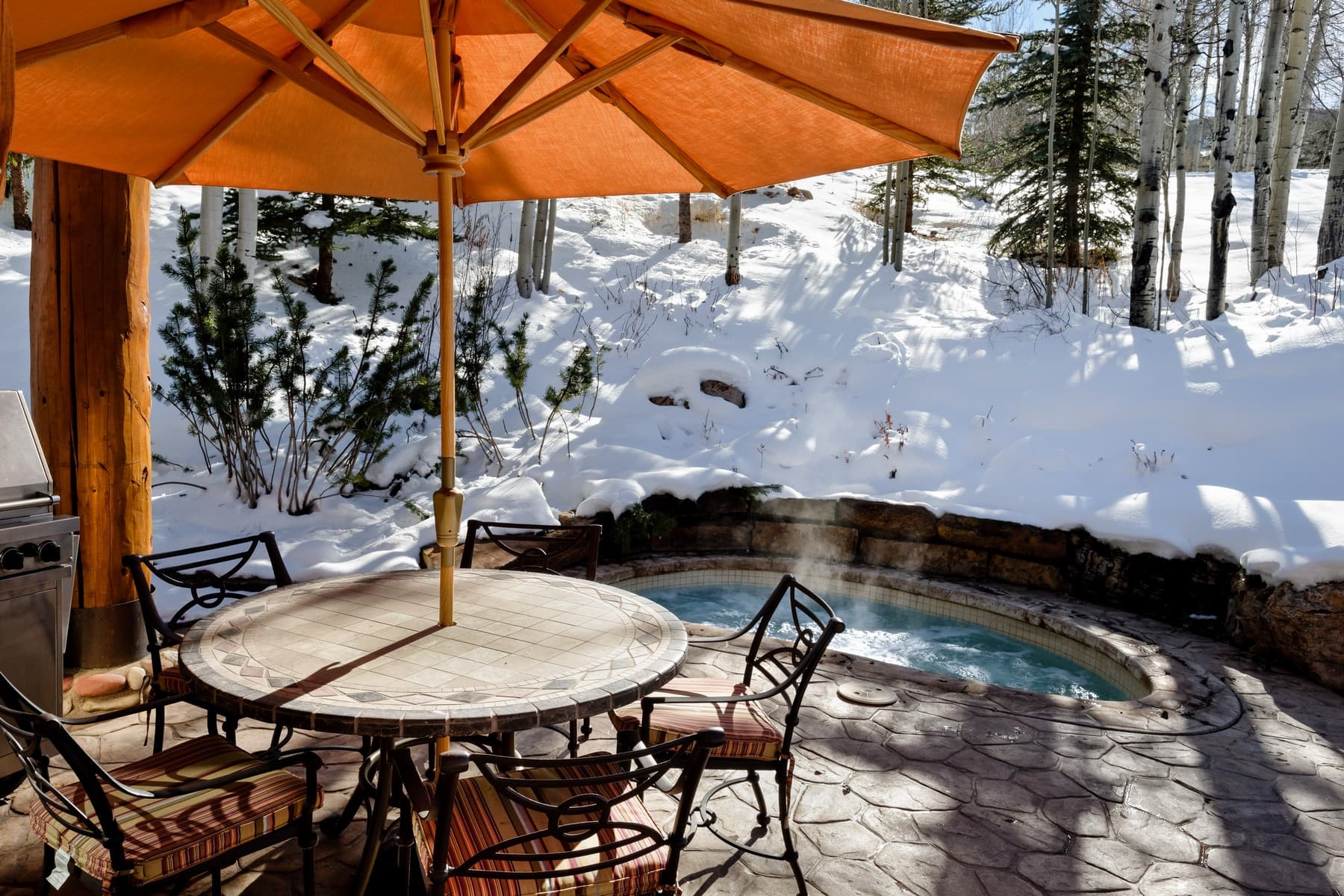 849 Serviceberry Lane, Snowmass Village, CO 81615 - Photo 9