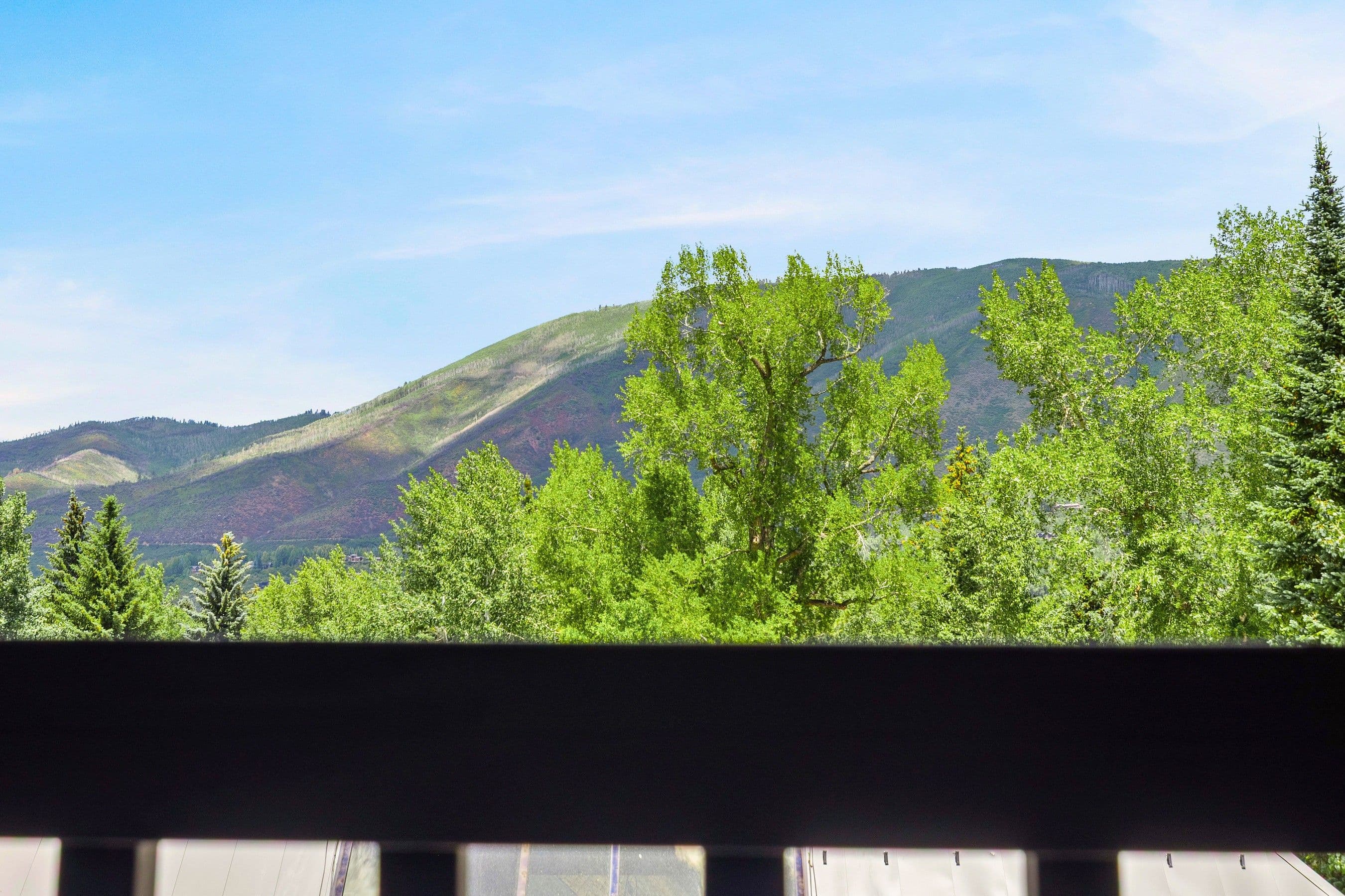 124 W Hyman Avenue 3B, Aspen, CO 81611 - Photo 26