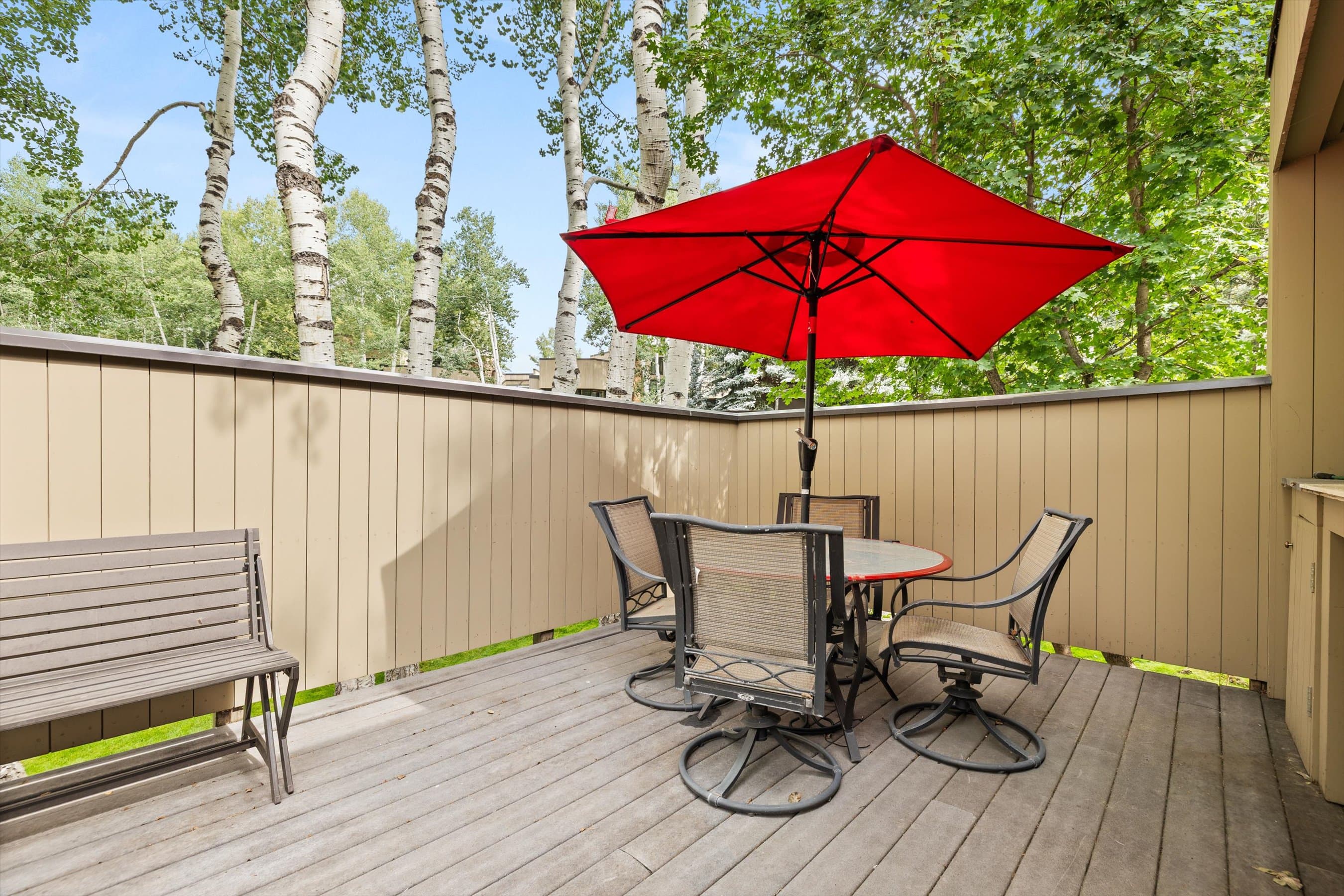 1443 Crystal Lake Road 3E, Aspen, CO 81611 - Photo 10