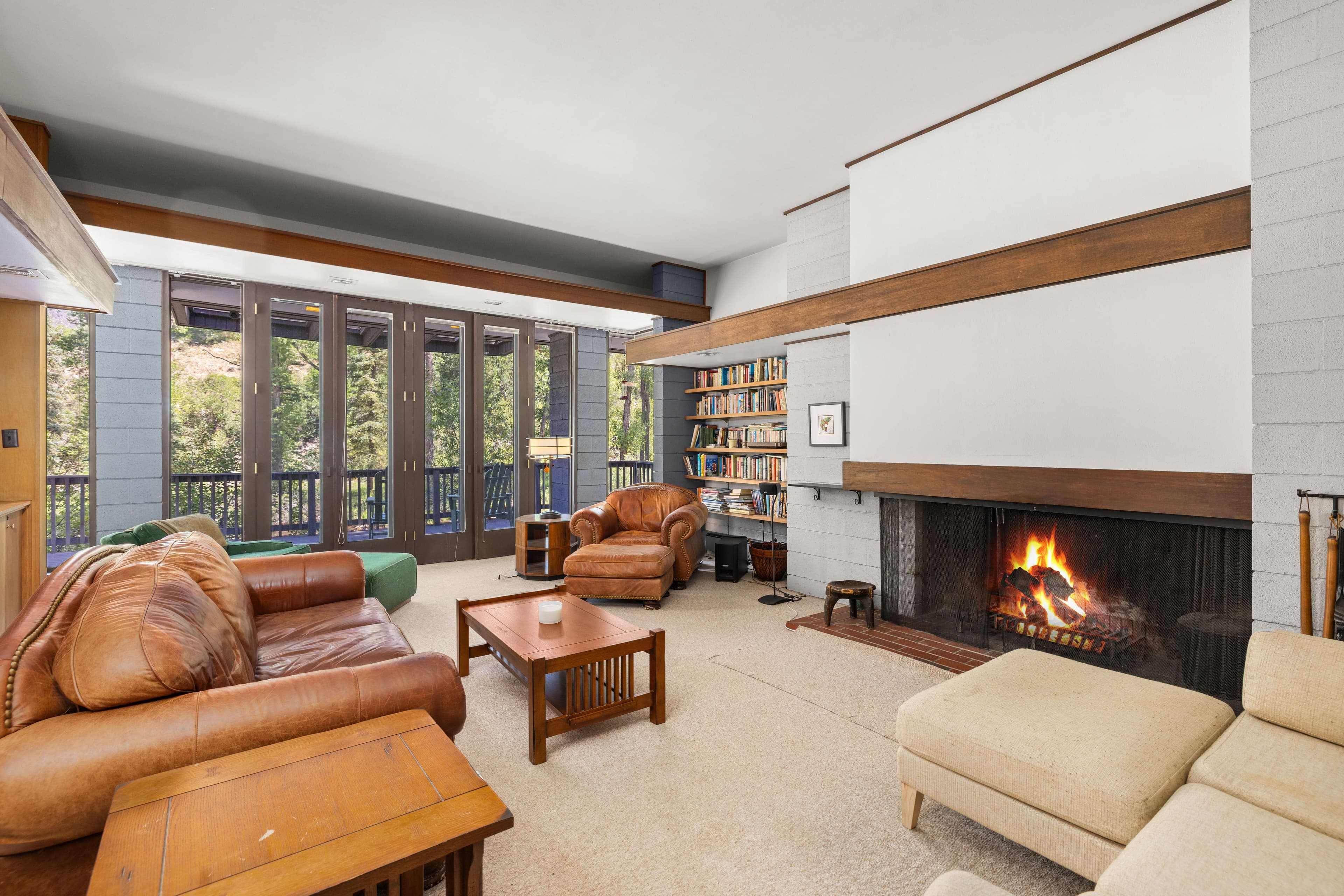 820 Twining Flats Road, Aspen, CO 81611 - Photo 18