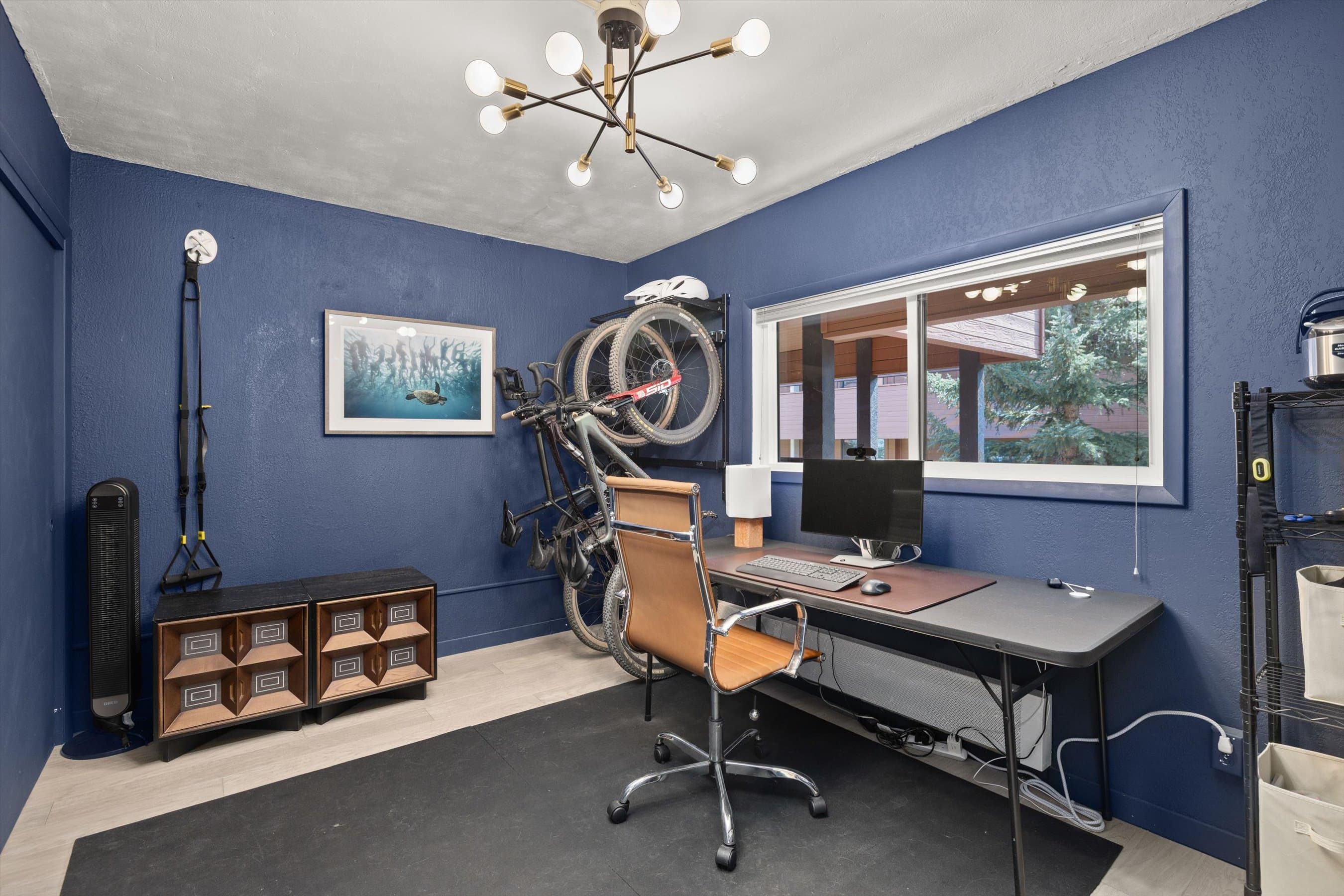 950 Vine Street, Aspen, CO 81611 - Photo 13