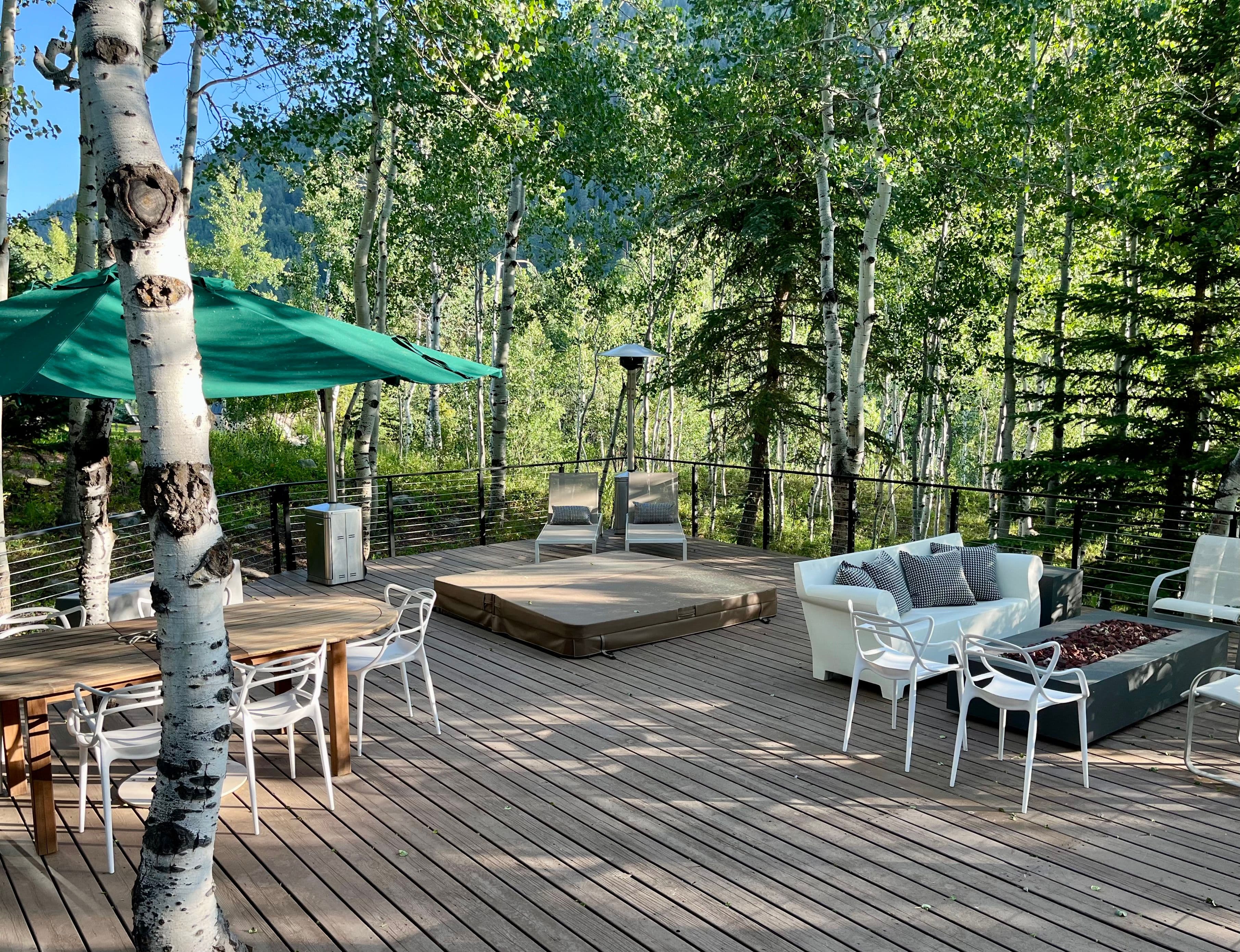 262 Eastwood Drive, Aspen, CO 81611 - Photo 12