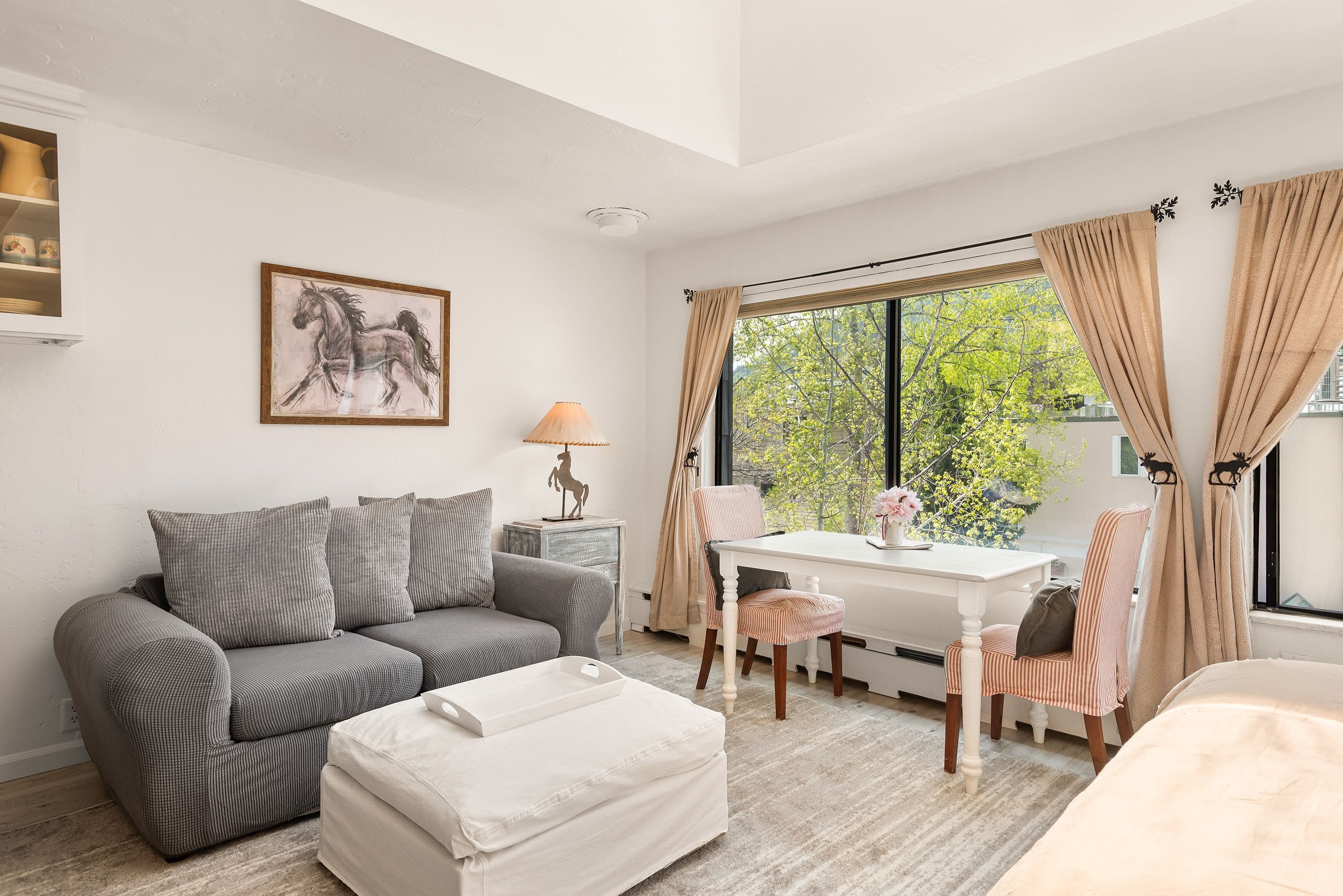725 E Main Street #305, Aspen, CO 81611 - Photo 1
