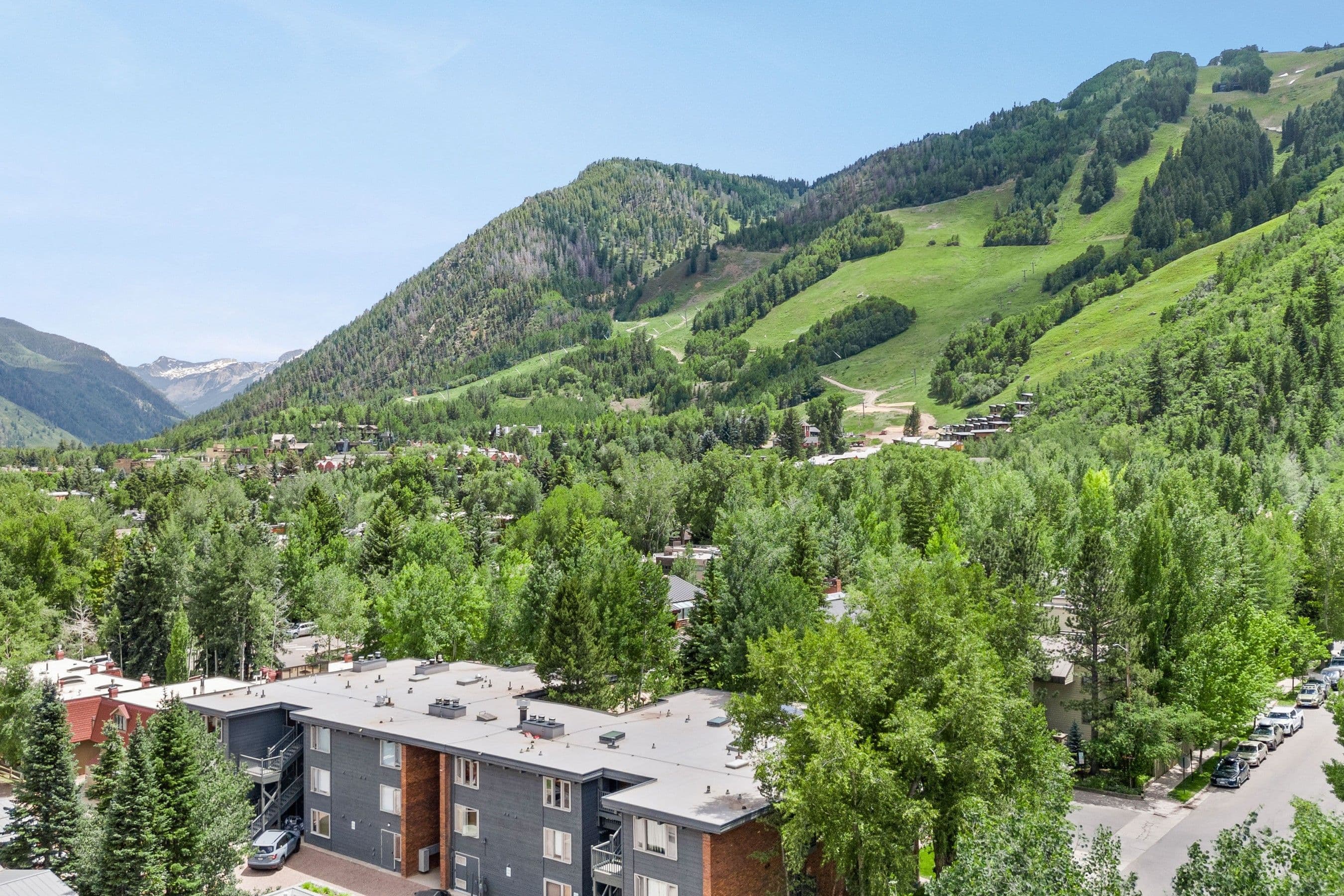124 W Hyman Avenue 3B, Aspen, CO 81611 - Photo 27