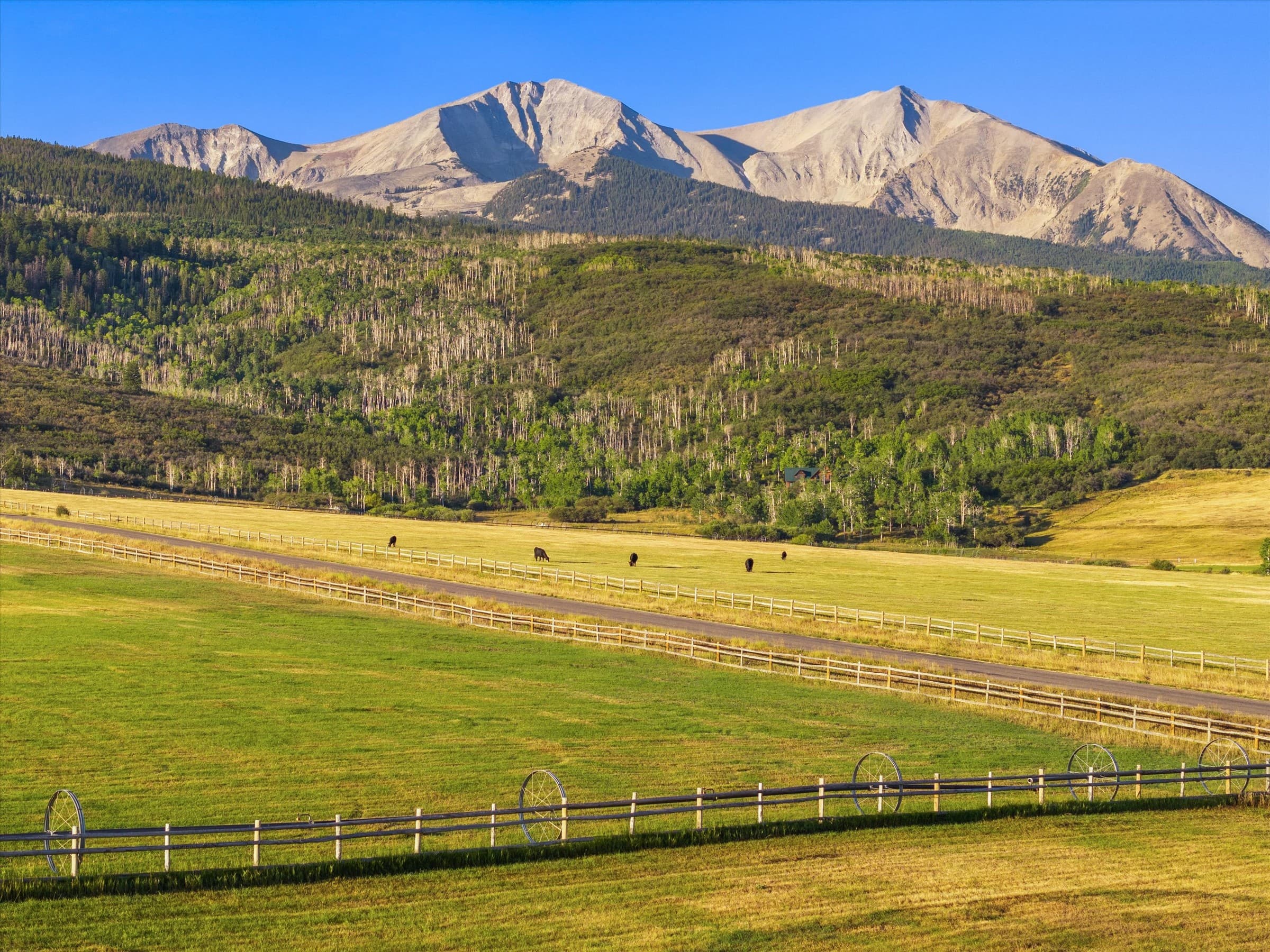 Tbd Old Herron Road, Basalt, CO 81621 - Photo 3