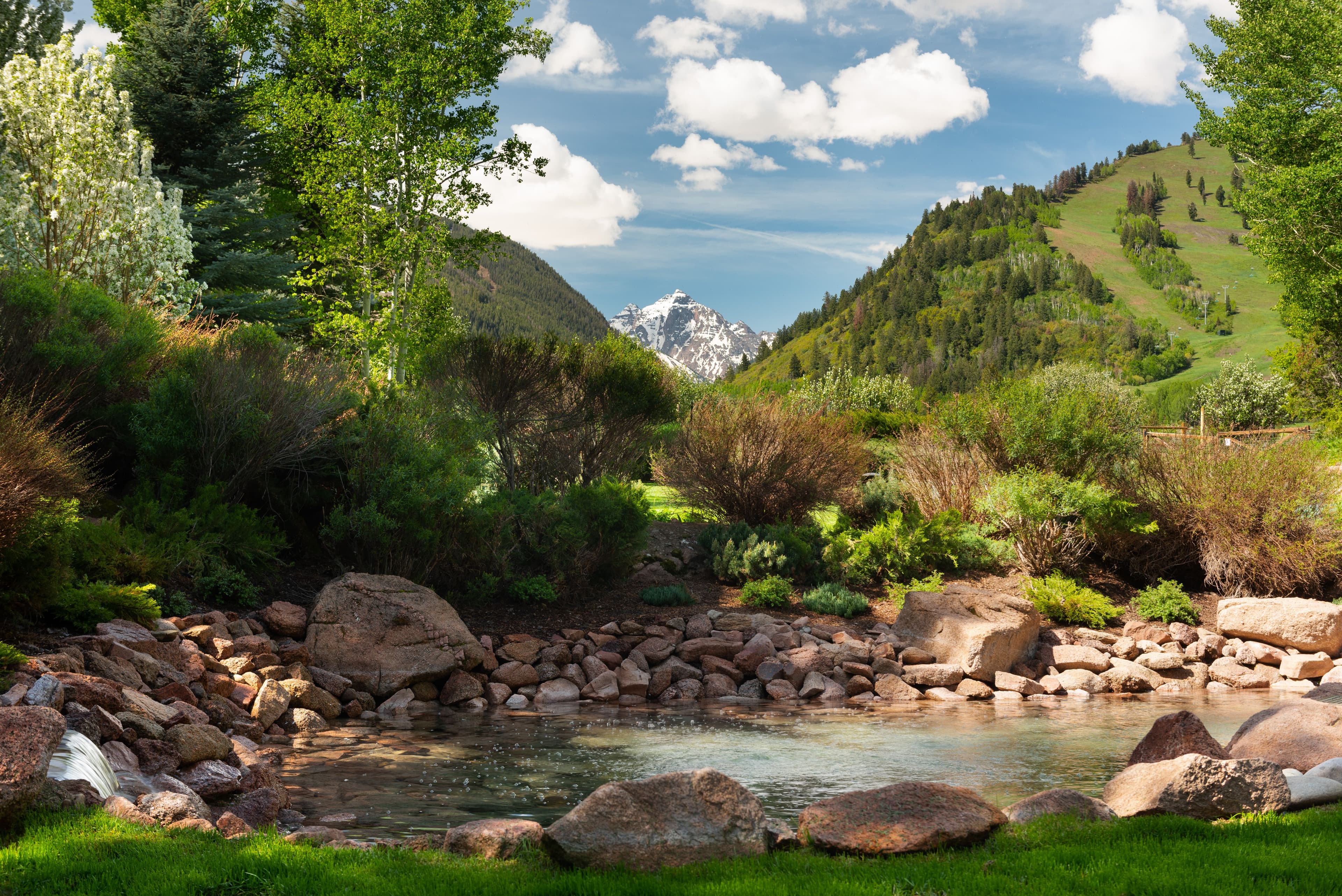73 Hideaway Lane, Aspen, CO 81611 - Photo 14