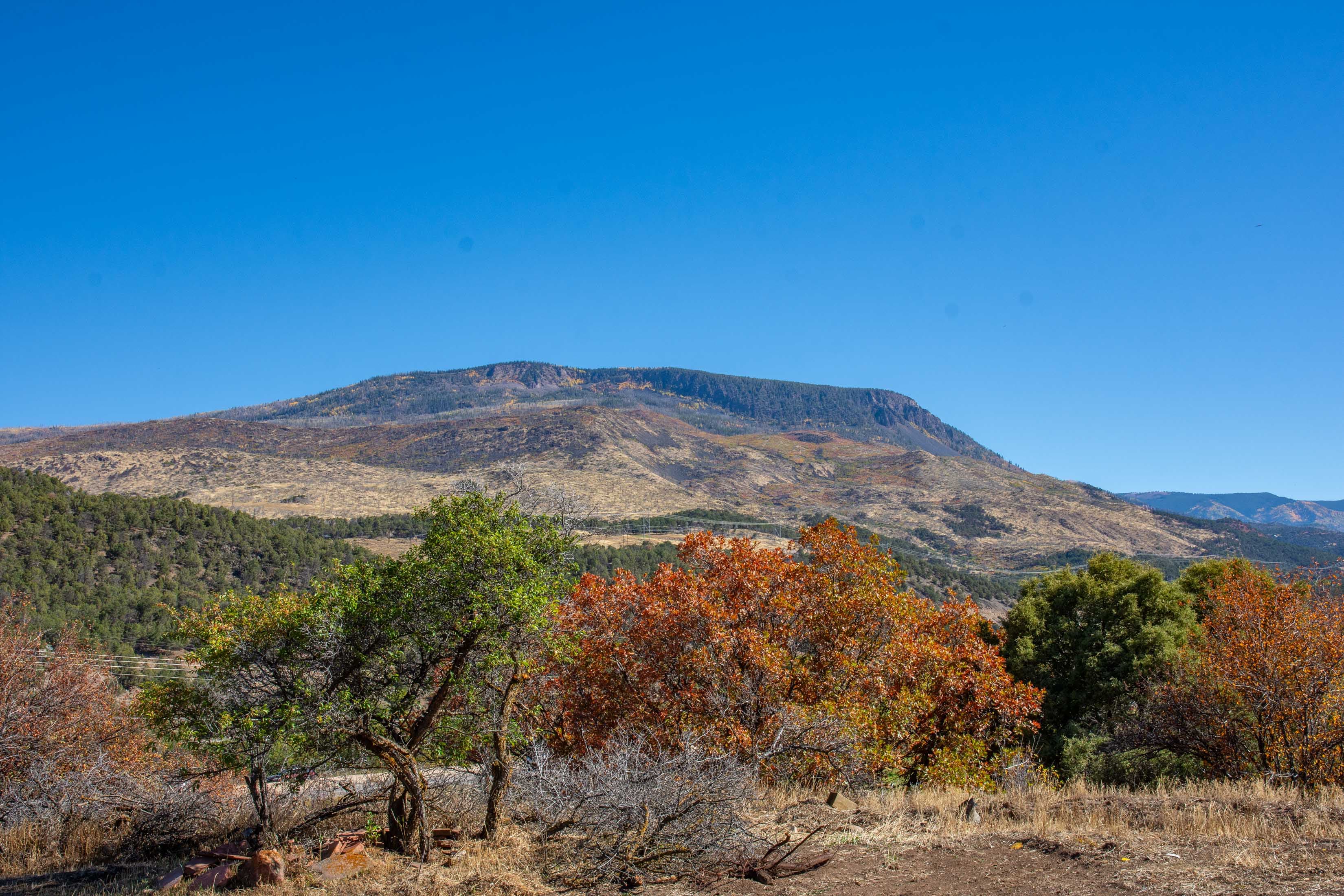 21401 Highway 82, Basalt, CO 81621 - Photo 14