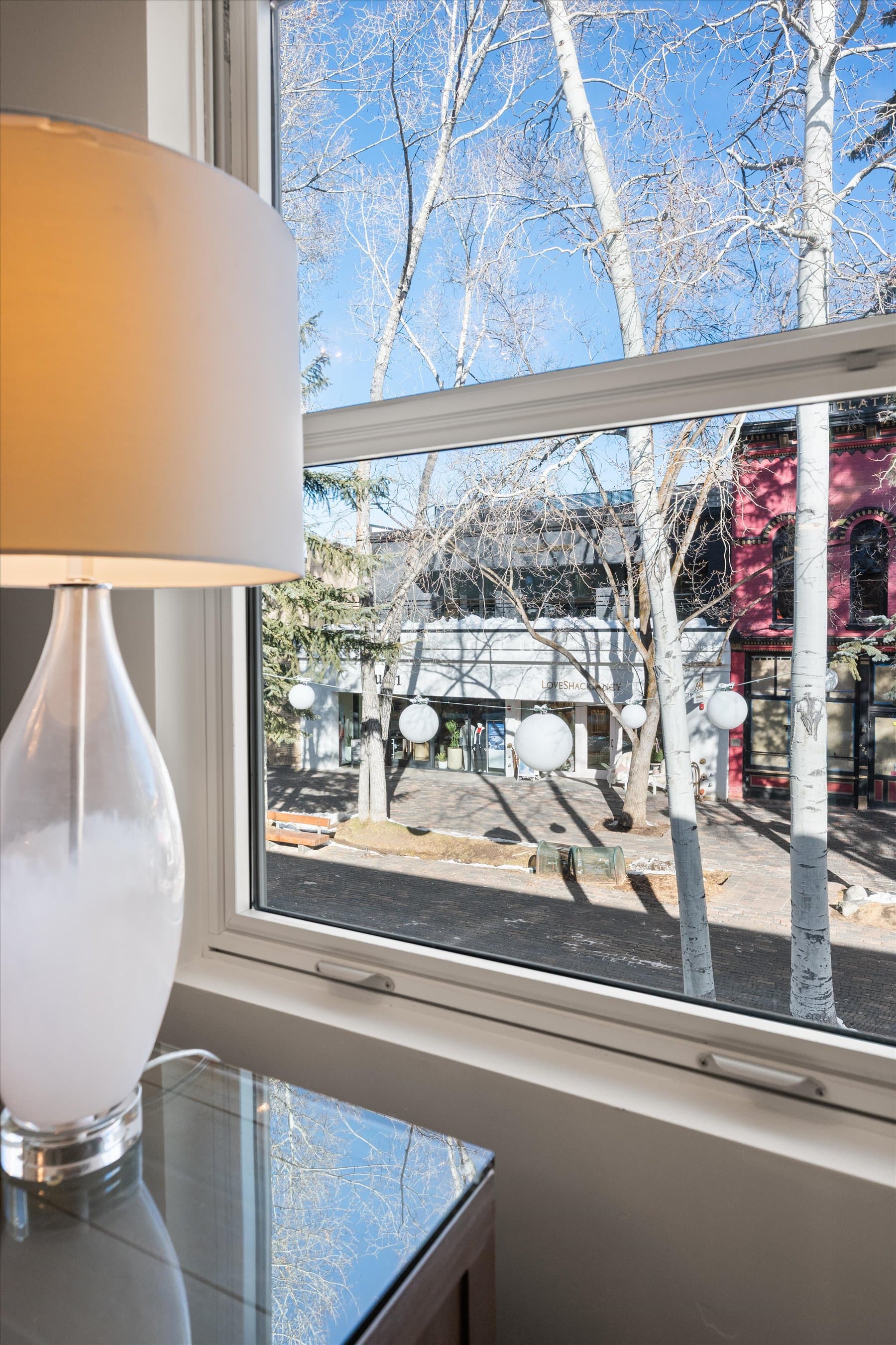 447 E Cooper Avenue 1, Aspen, CO 81611 - Photo 46