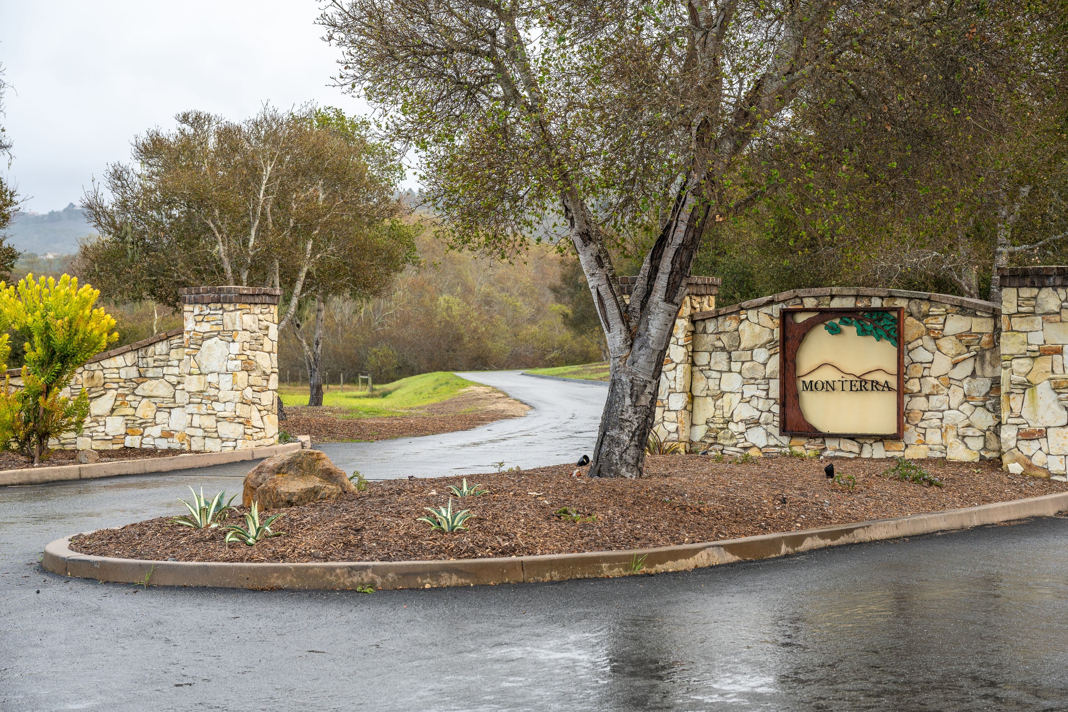 7735 Paseo Venado (Lot 82) - Photo 8