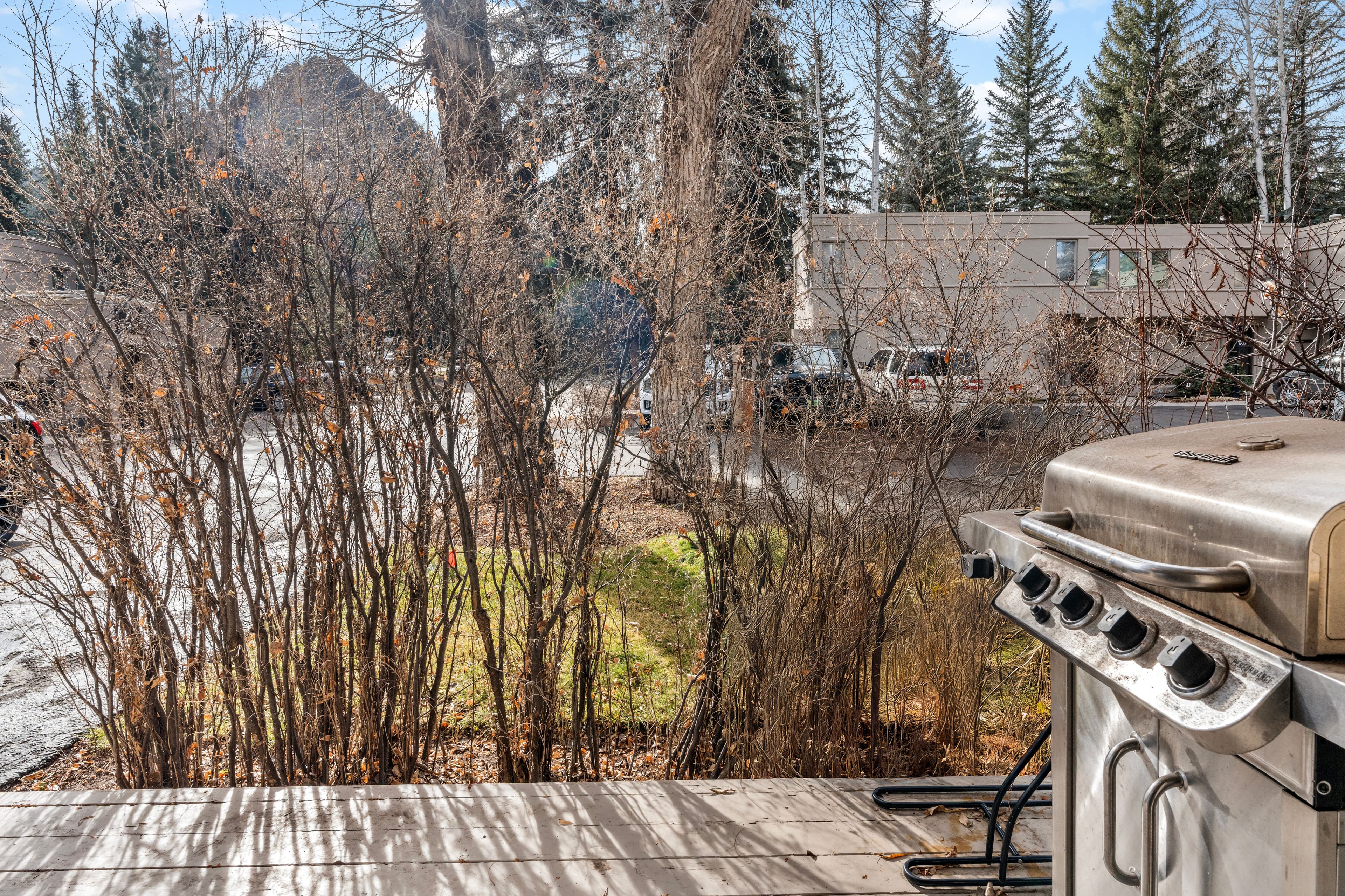 814 W Bleeker Street C-1, Aspen, CO 81611 - Photo 12