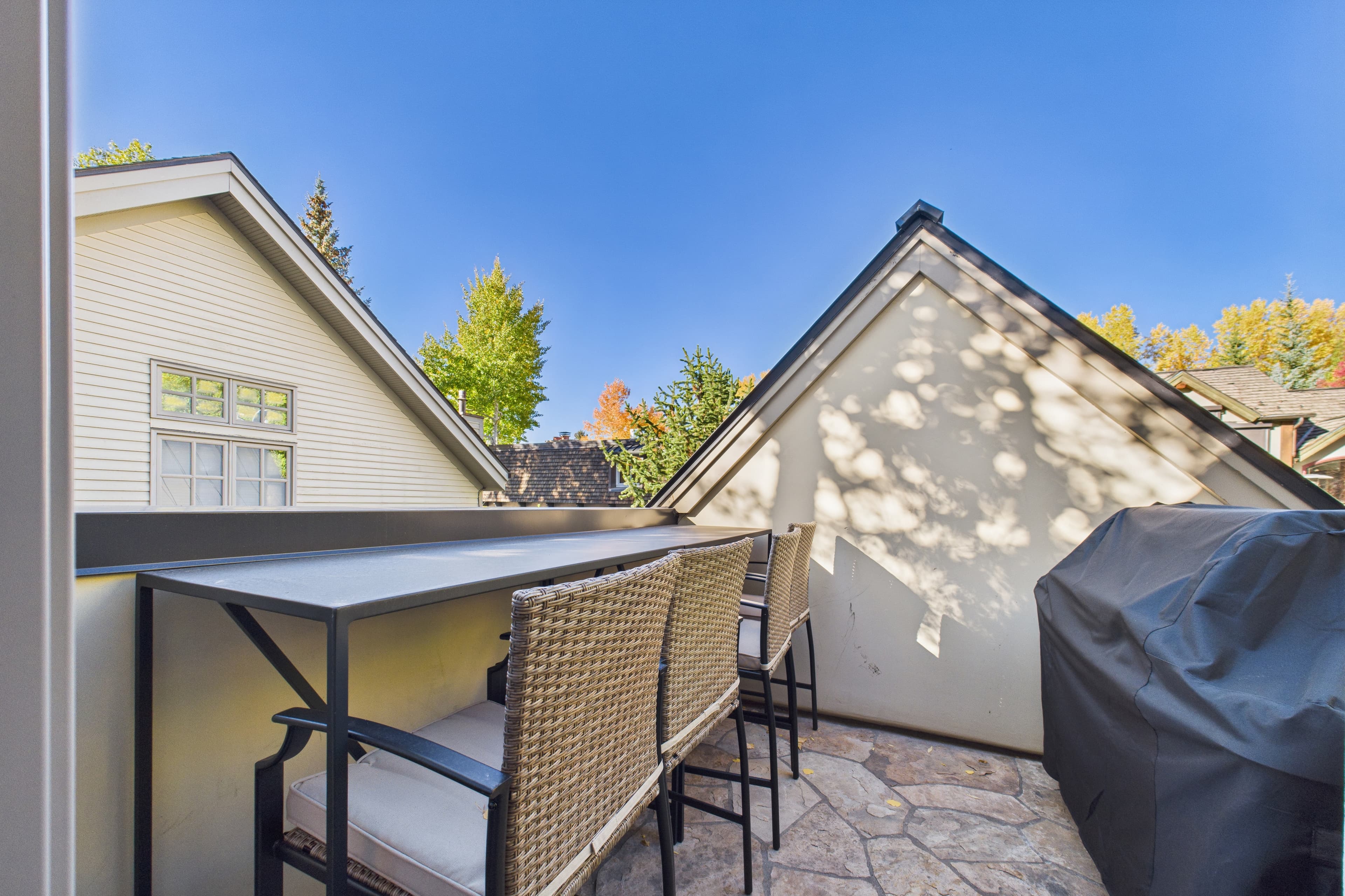 910 E Cooper Avenue, Aspen, CO 81611 - Photo 37