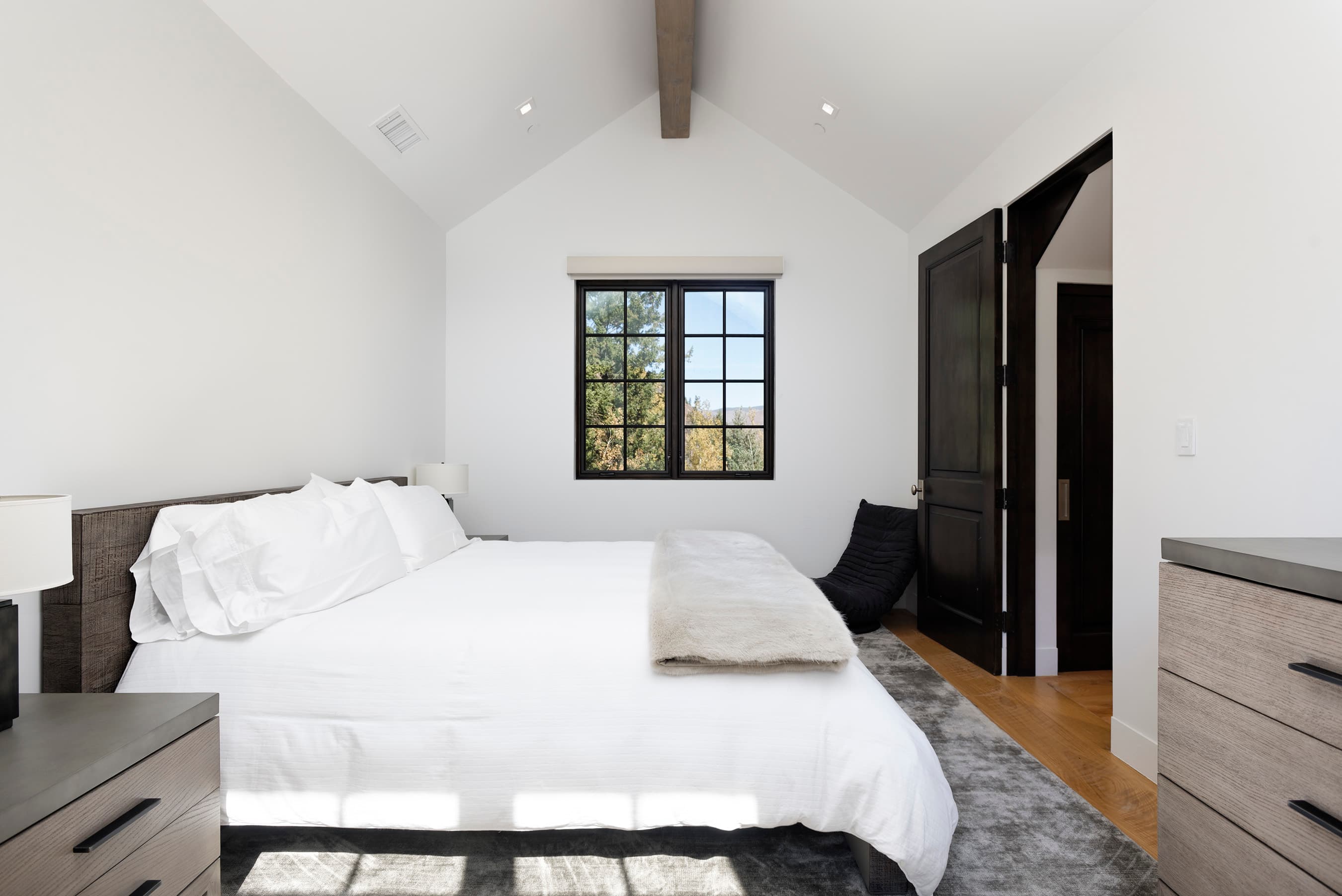 235 Exhibition Lane, Aspen, CO 81611 - Photo 6