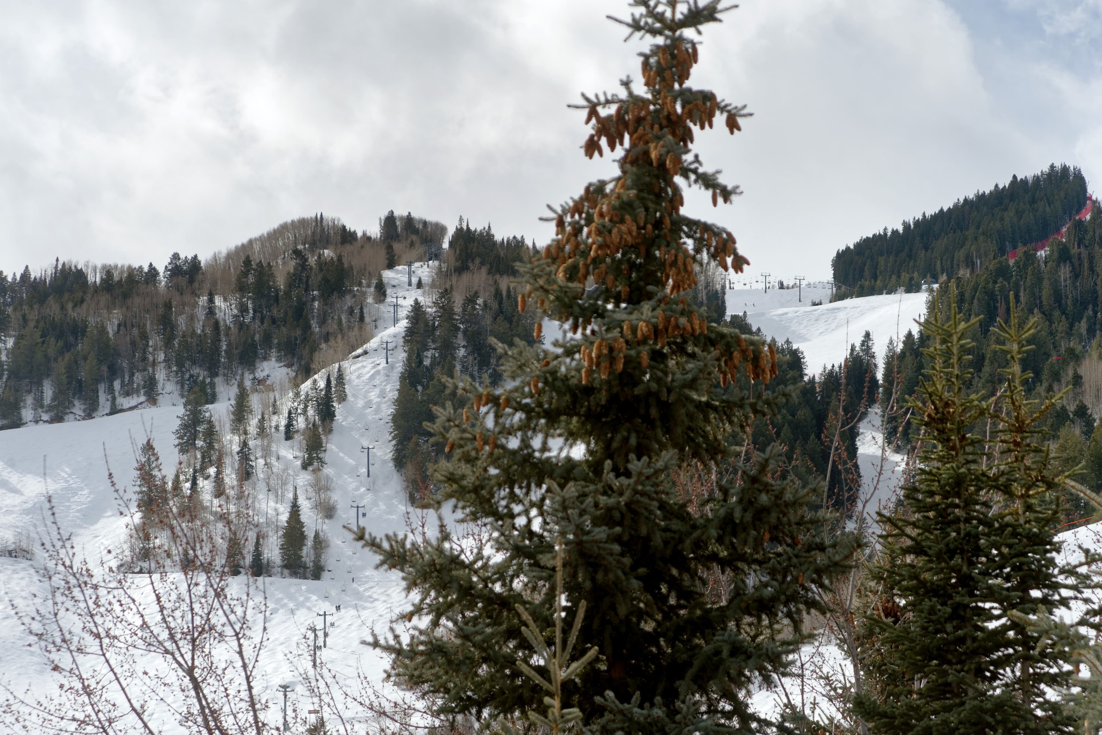 119 E Cooper Avenue 27, Aspen, CO 81611 - Photo 10