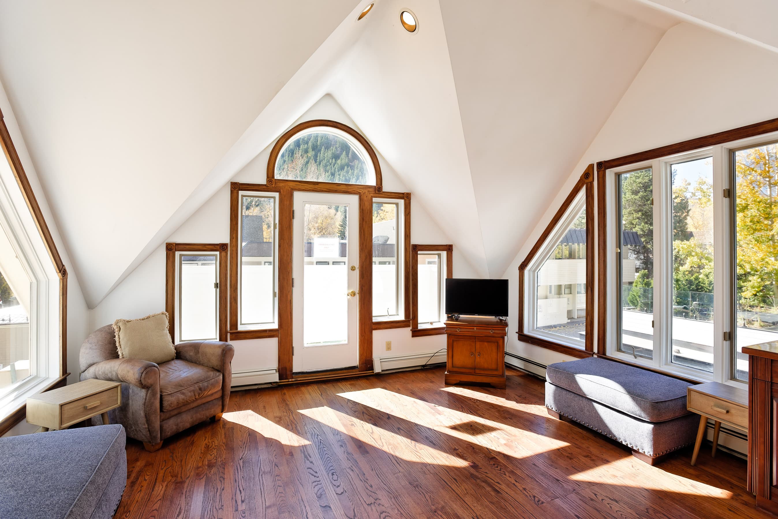 401 W Bleeker Street, Aspen, CO 81611 - Photo 17
