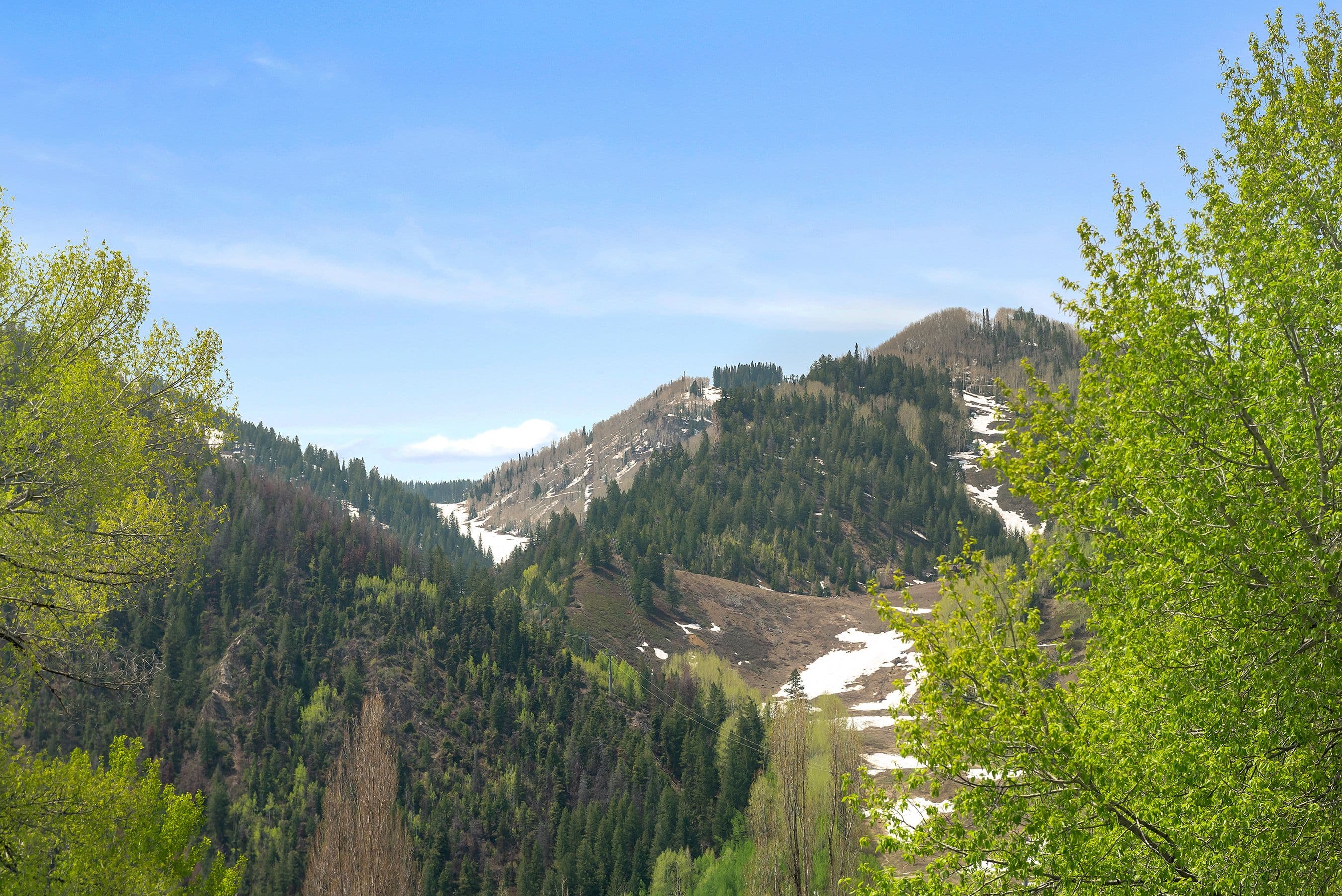 725 E Main Street #305, Aspen, CO 81611 - Photo 7