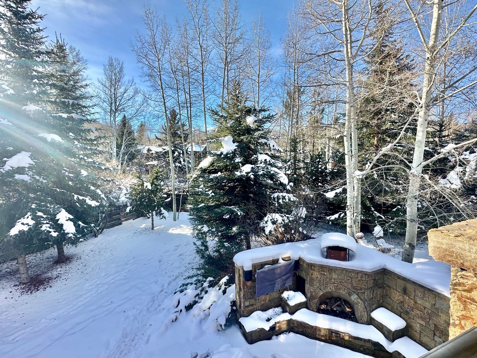 1395 Snowbunny Lane, Aspen, CO 81611 - Photo 2