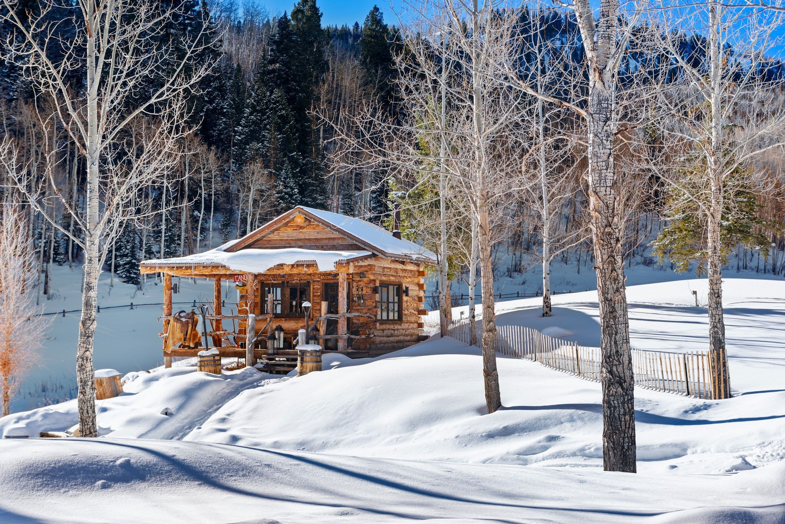 6855 Capitol Creek Road, Snowmass, CO 81654 - Photo 36