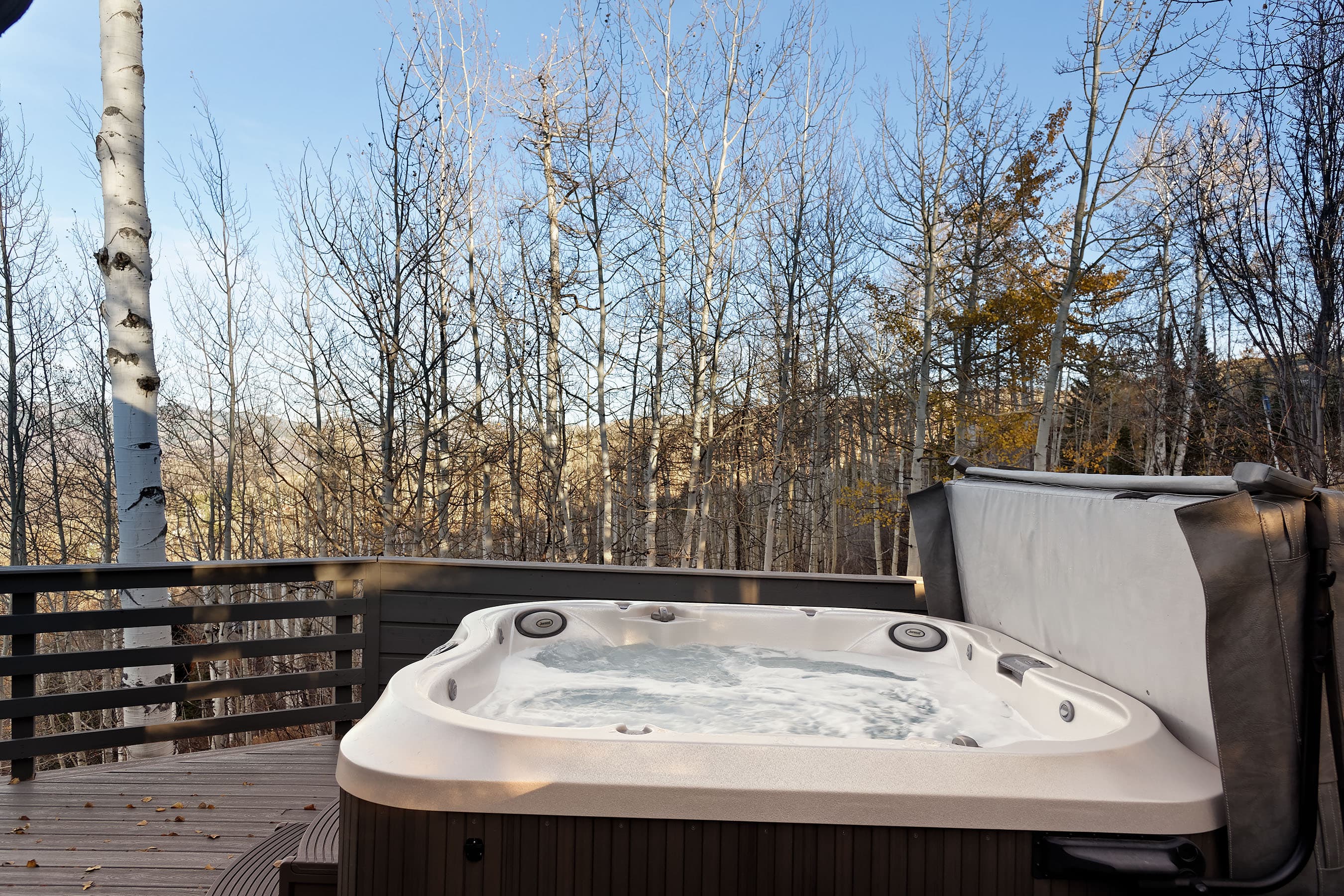 198 Bridge Lane, Snowmass Village, CO 81615 - Photo 22