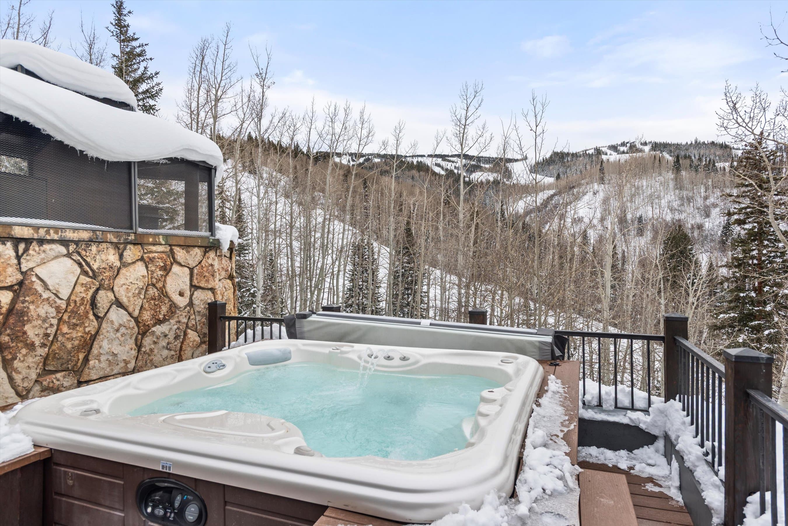 1777 Wood Road, Snowmass Village, CO 81615 - Photo 13