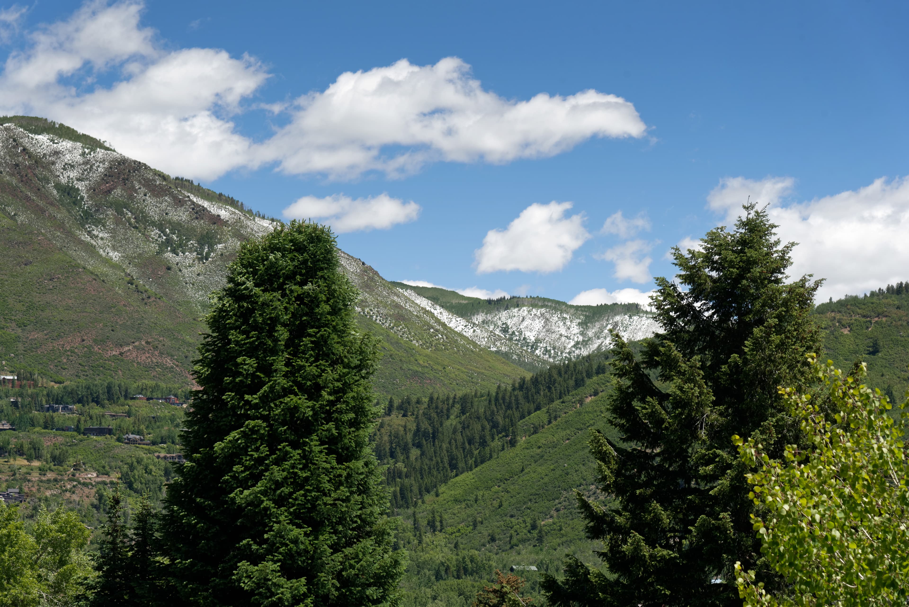 237 Gilbert Street, Aspen, CO 81611 - Photo 9