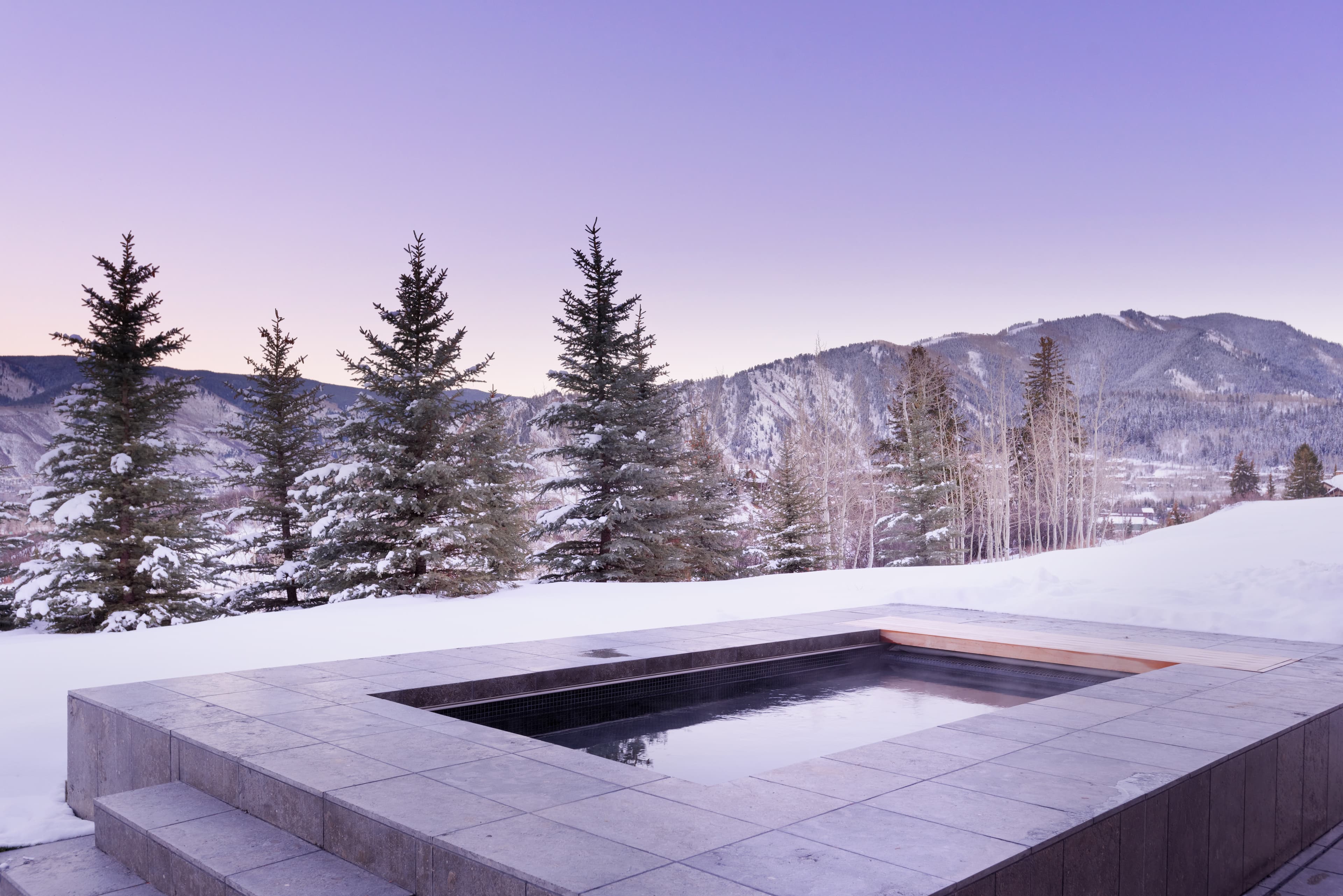 651 Pfister Drive, Aspen, CO 81611 - Photo 30
