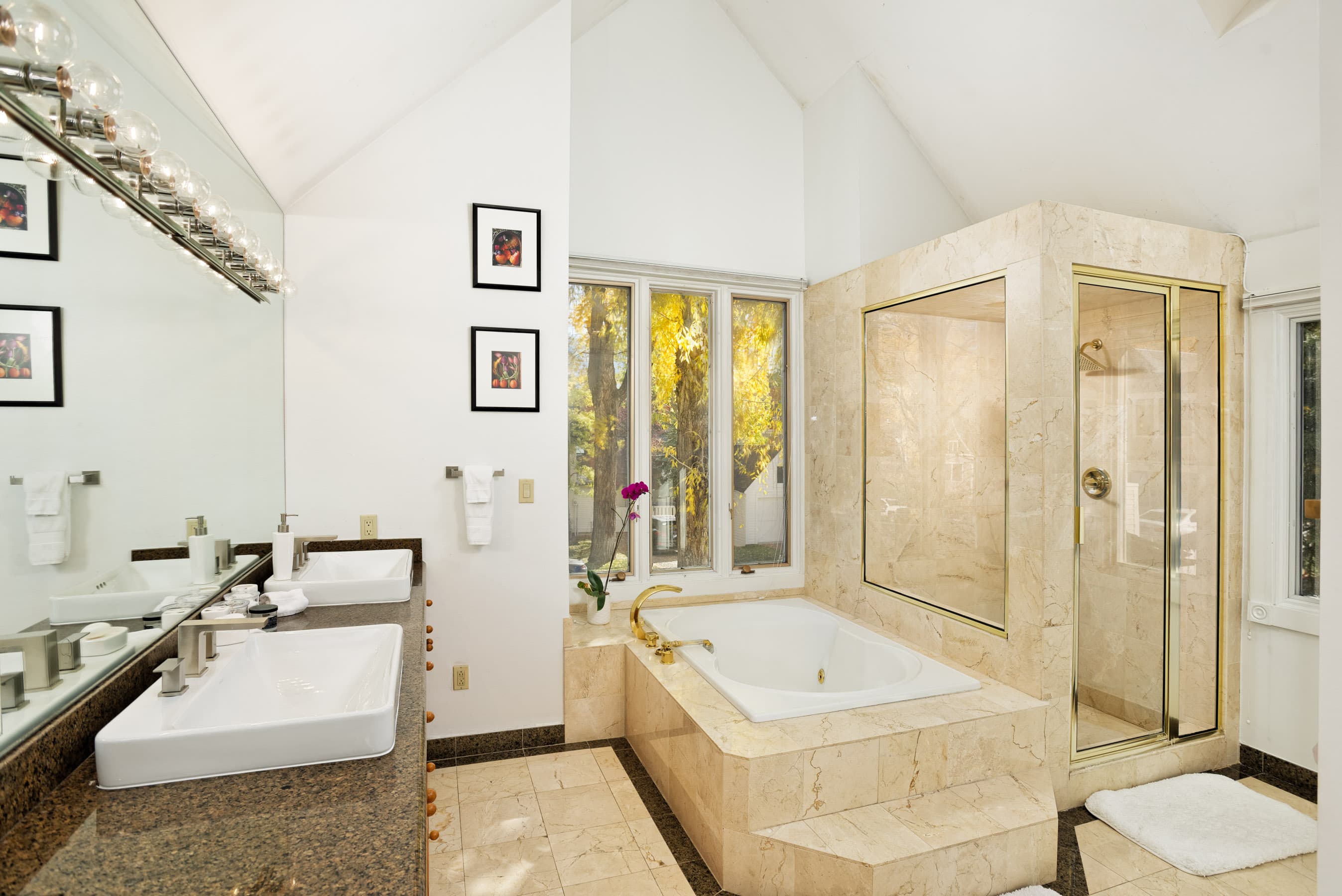 401 W Bleeker Street, Aspen, CO 81611 - Photo 2