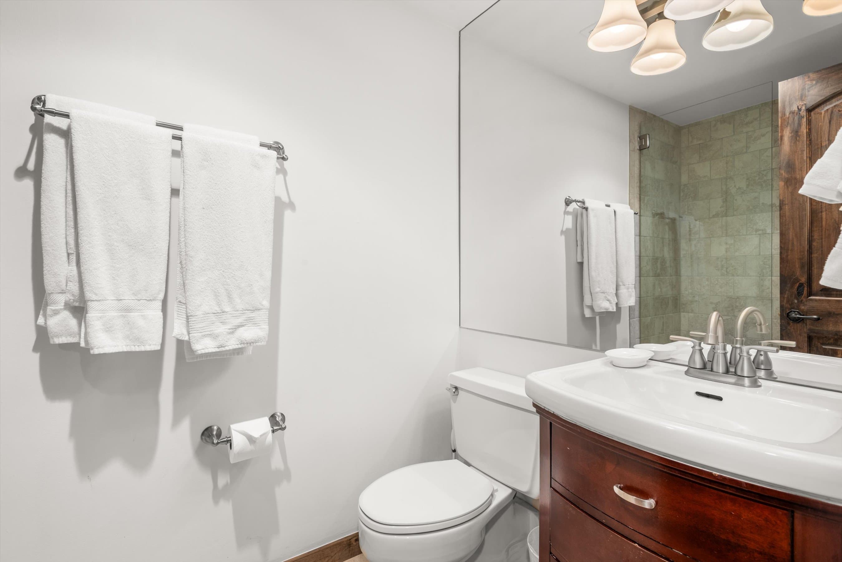 1039 E Cooper Avenue 36B, Aspen, CO 81611 - Photo 11