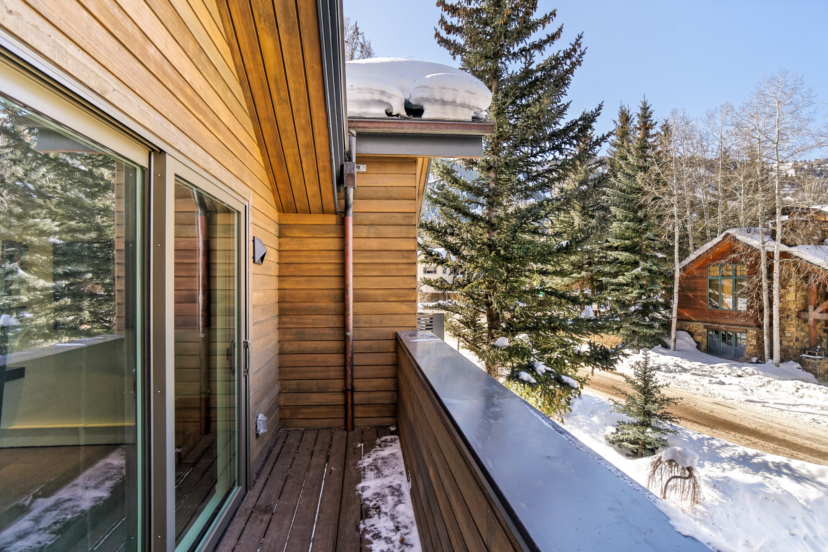 100 Park Avenue, Aspen, CO 81611 - Photo 28