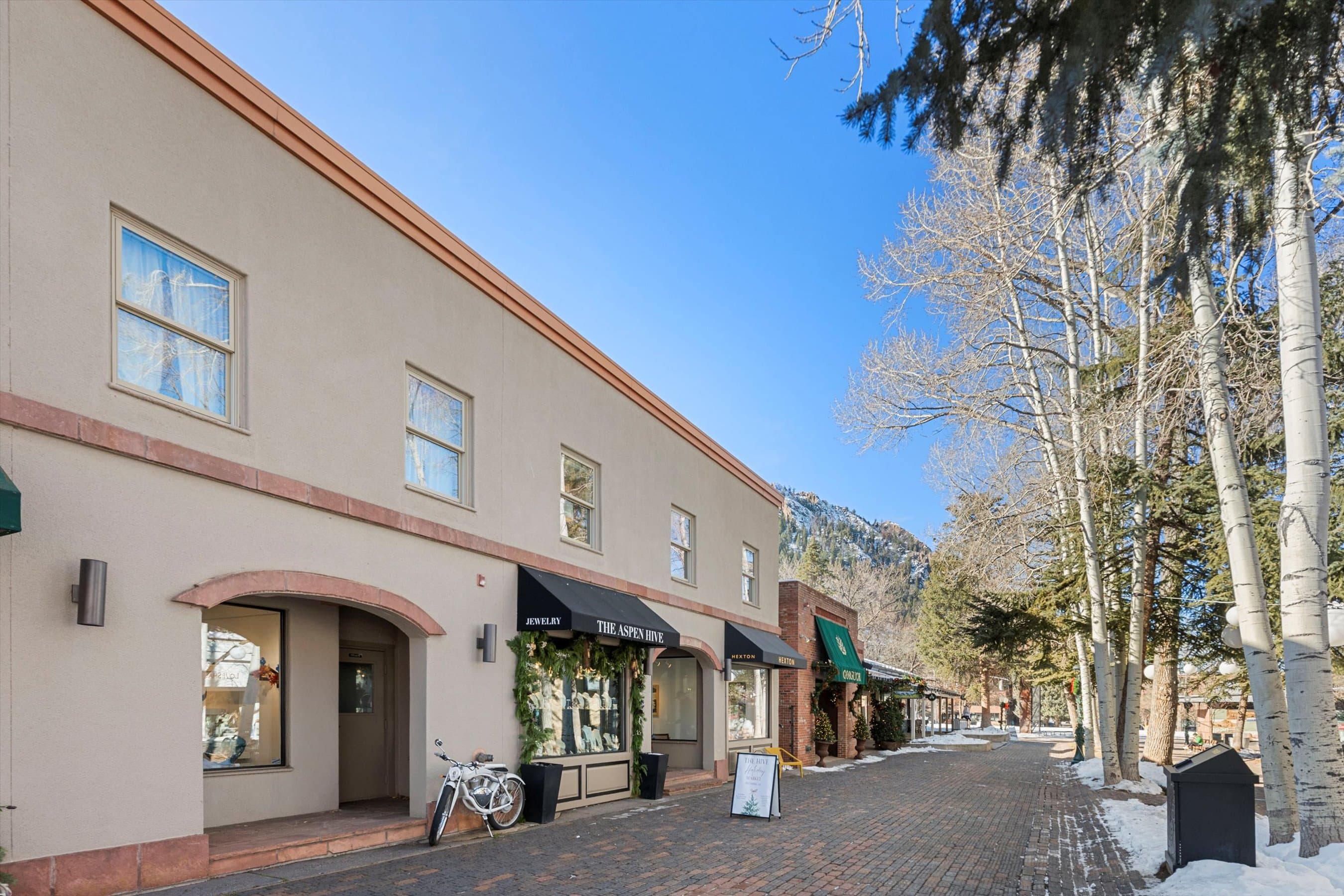 447 E Cooper Avenue 1, Aspen, CO 81611 - Photo 45