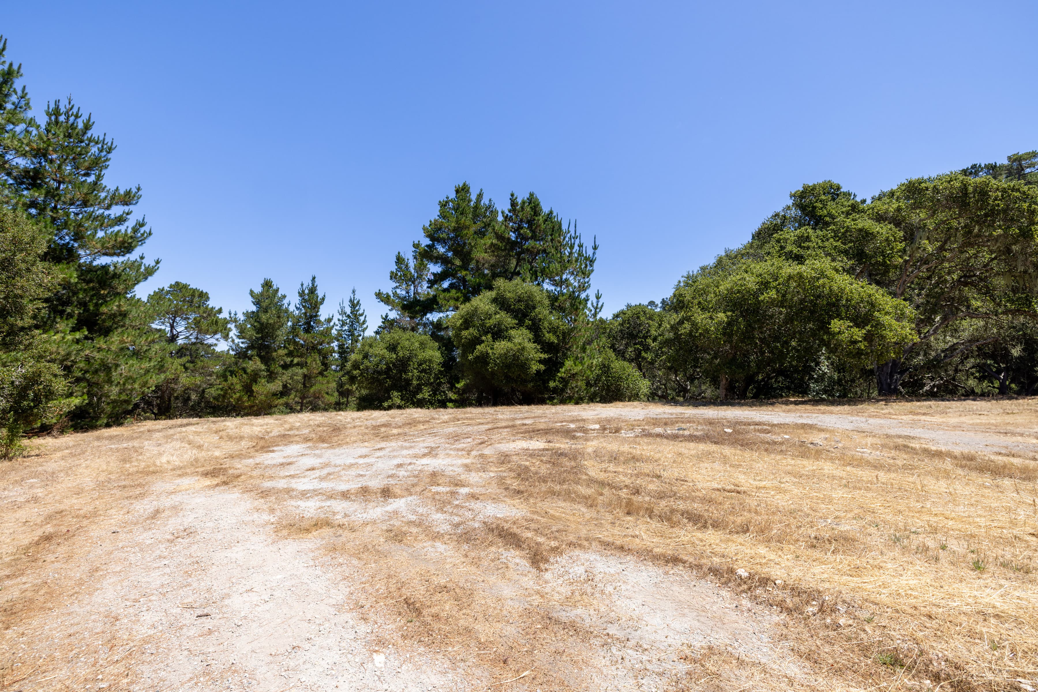 0 Paseo Venado (Lot 116) - Photo 9