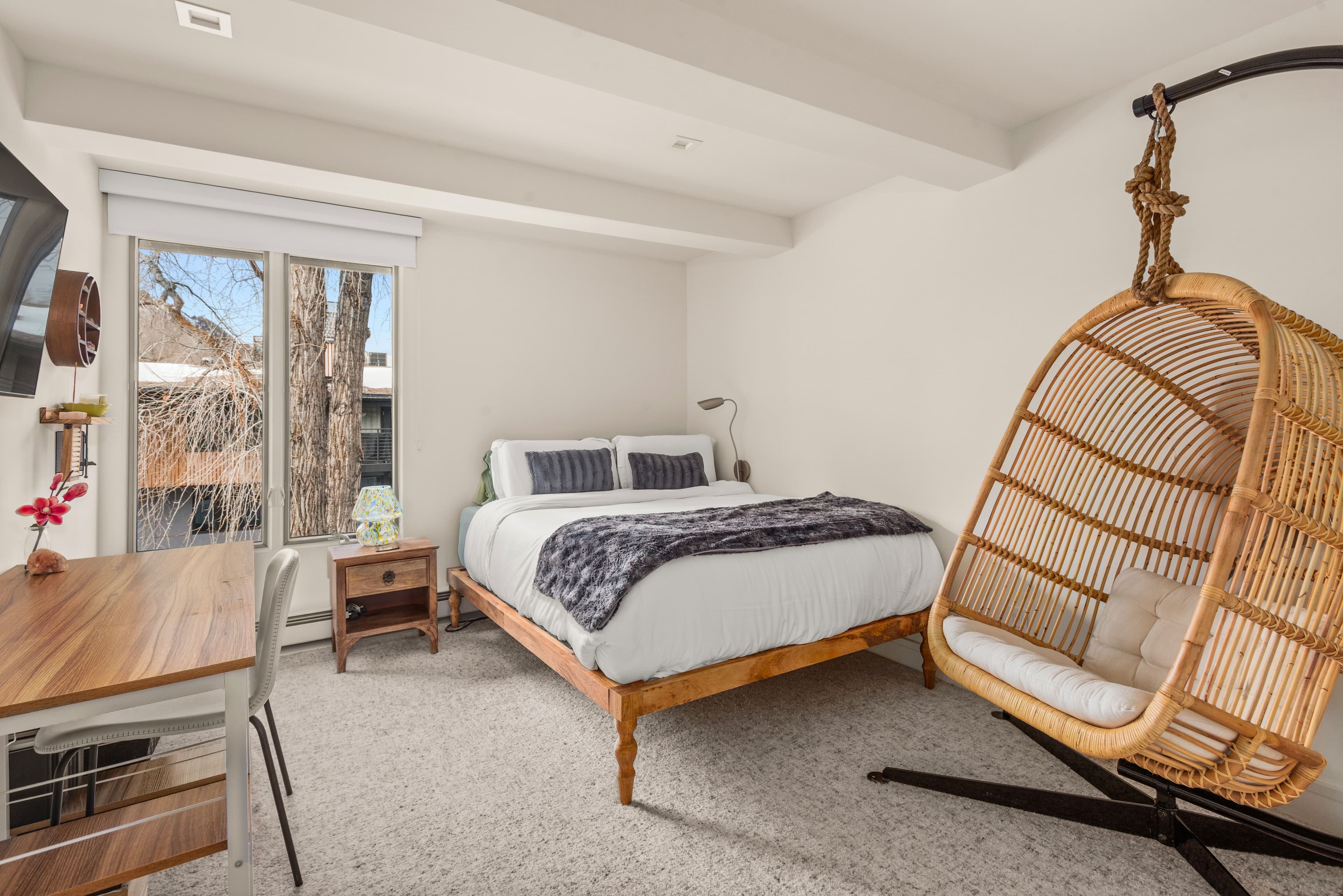 1039 E Cooper Avenue 20, Aspen, CO 81611 - Photo 17