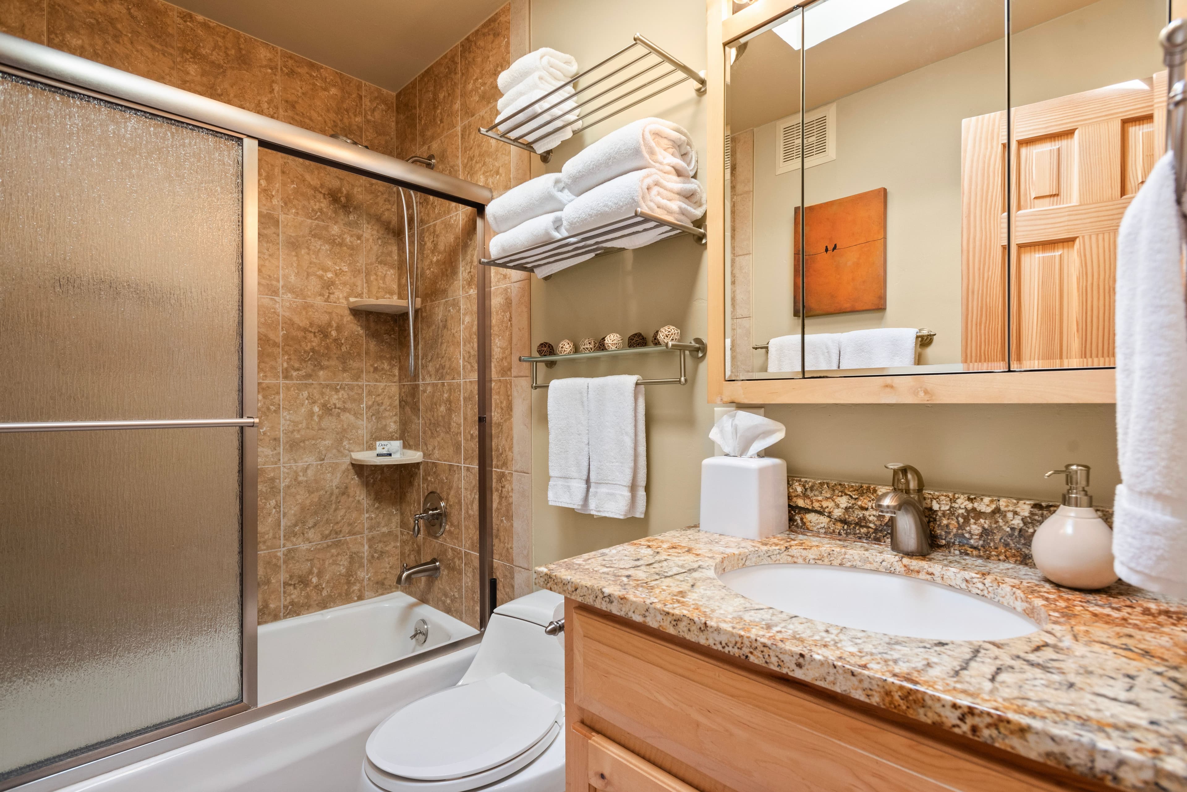 210 E Cooper Avenue 3b, Aspen, CO 81611 - Photo 8