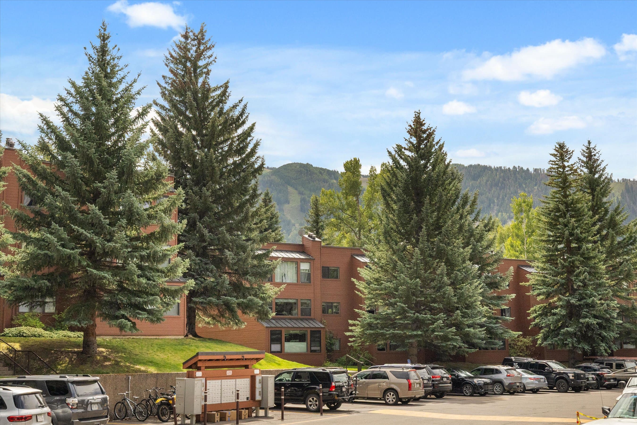 950 Vine Street, Aspen, CO 81611 - Photo 8