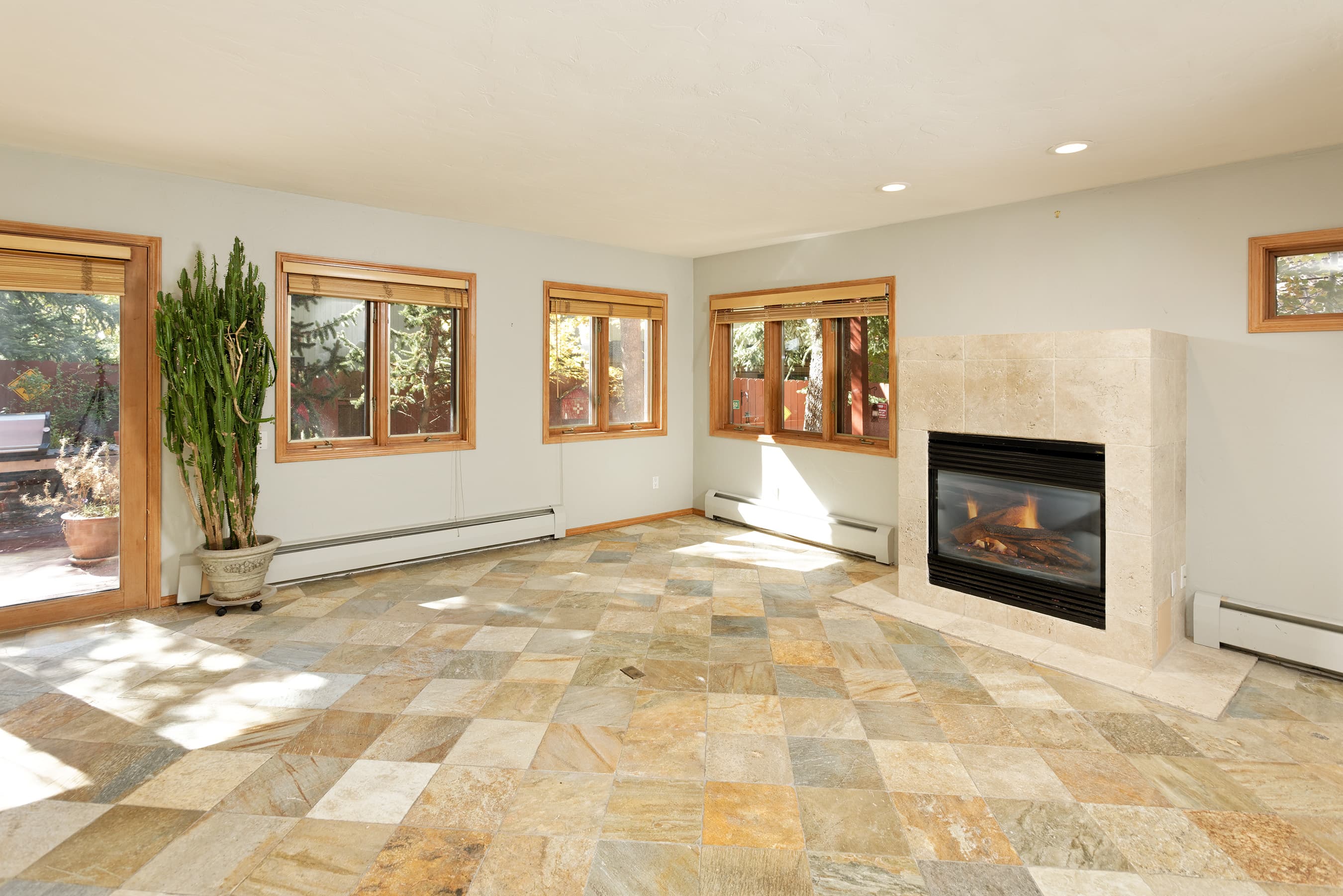 311 Midland Avenue, Aspen, CO 81611 - Photo 17