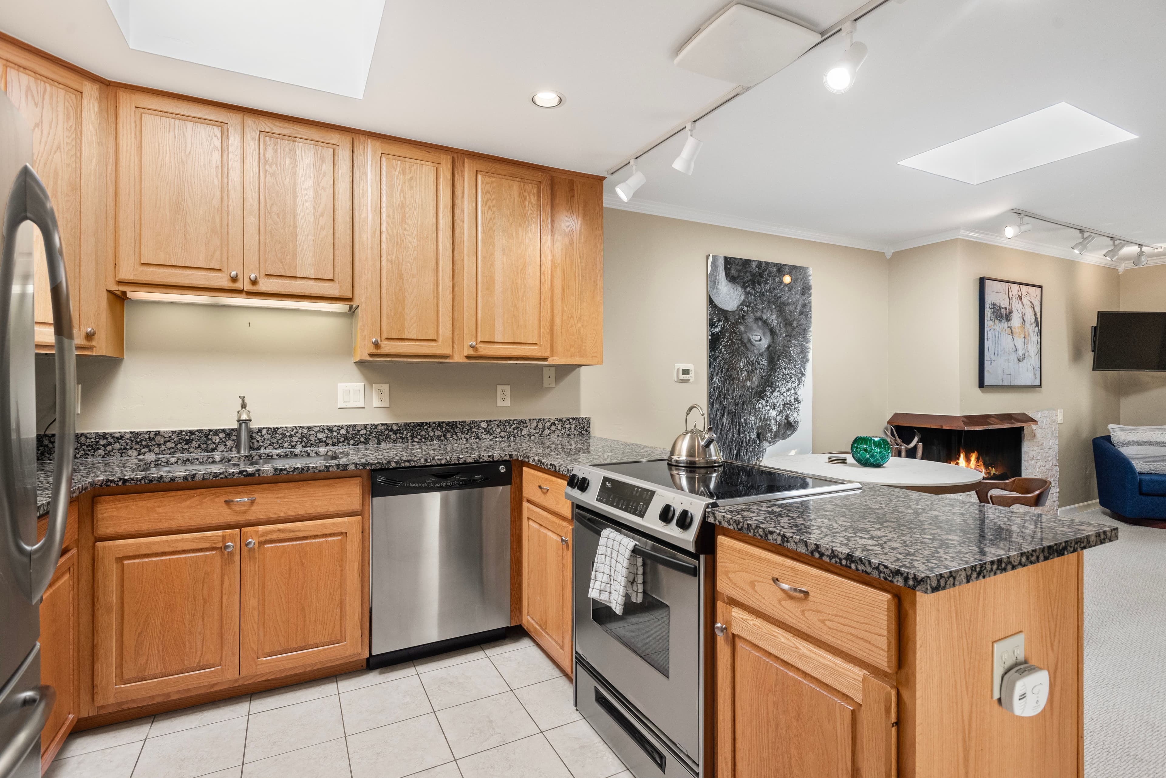 210 E Cooper Avenue 3b, Aspen, CO 81611 - Photo 4