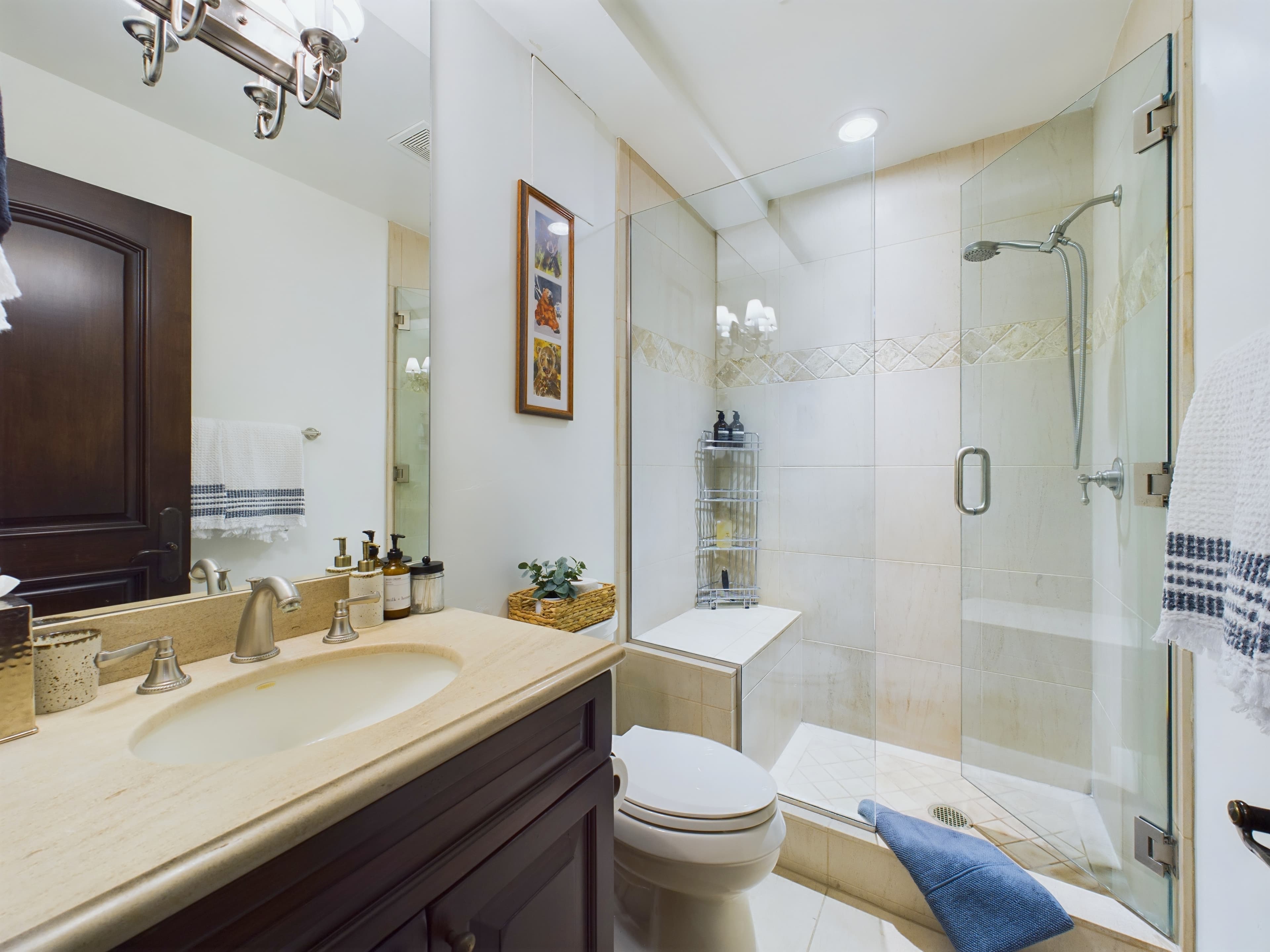 910 E Cooper Avenue, Aspen, CO 81611 - Photo 6