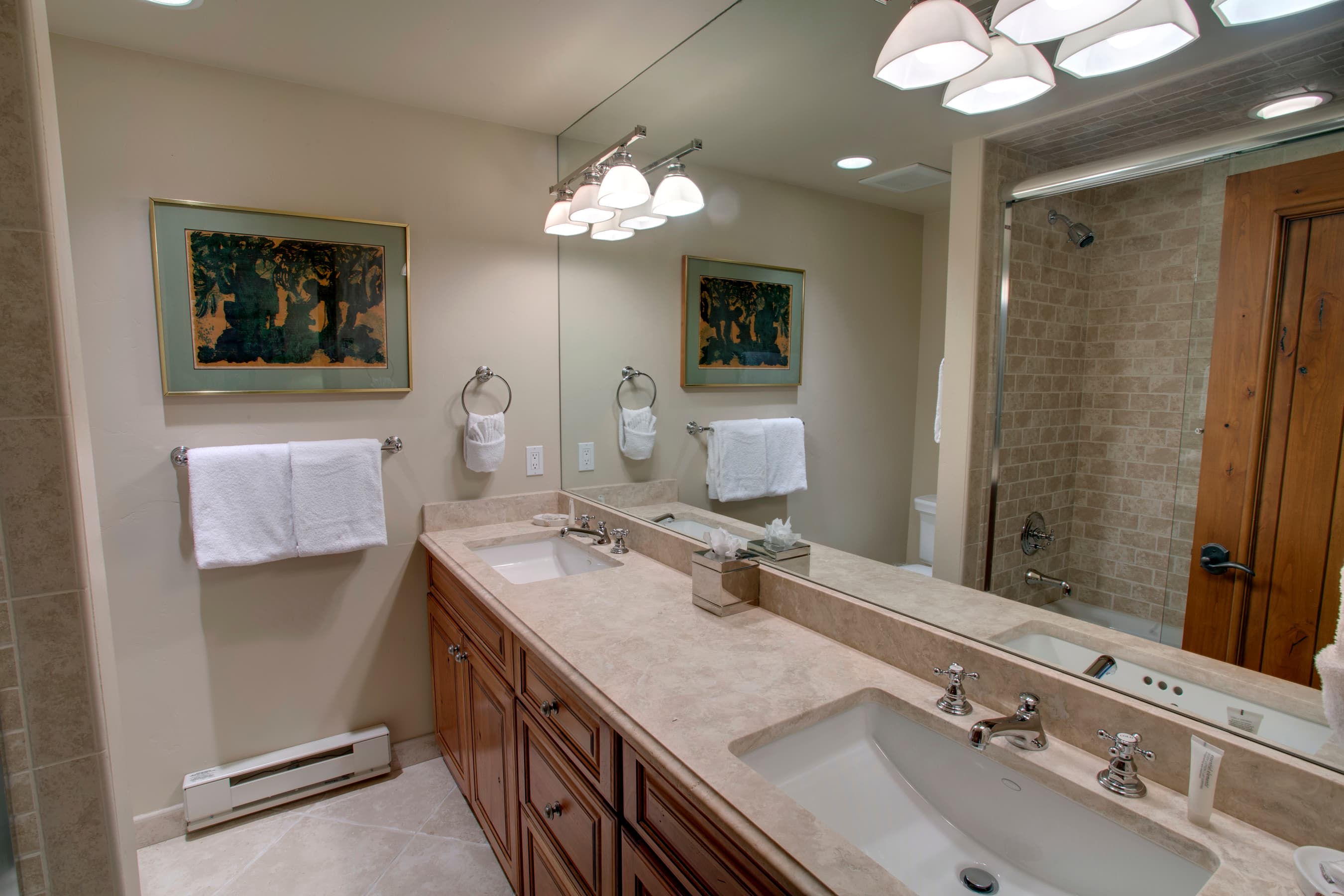 185 Nighthawk Drive, Aspen, CO 81611 - Photo 12